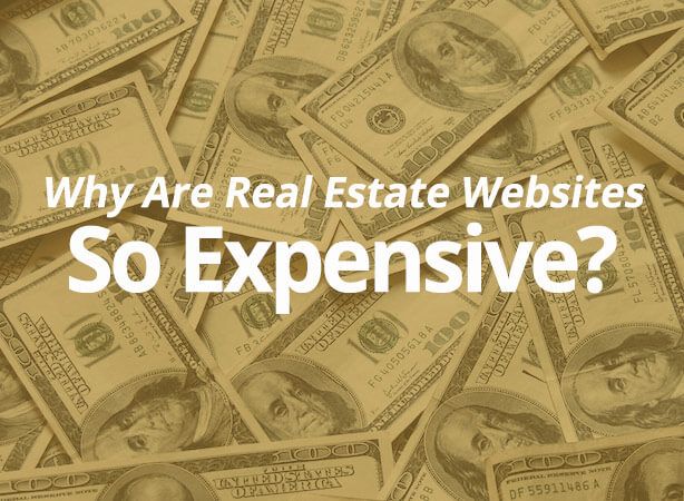 Why Are Real Estate Websites So Expensive?