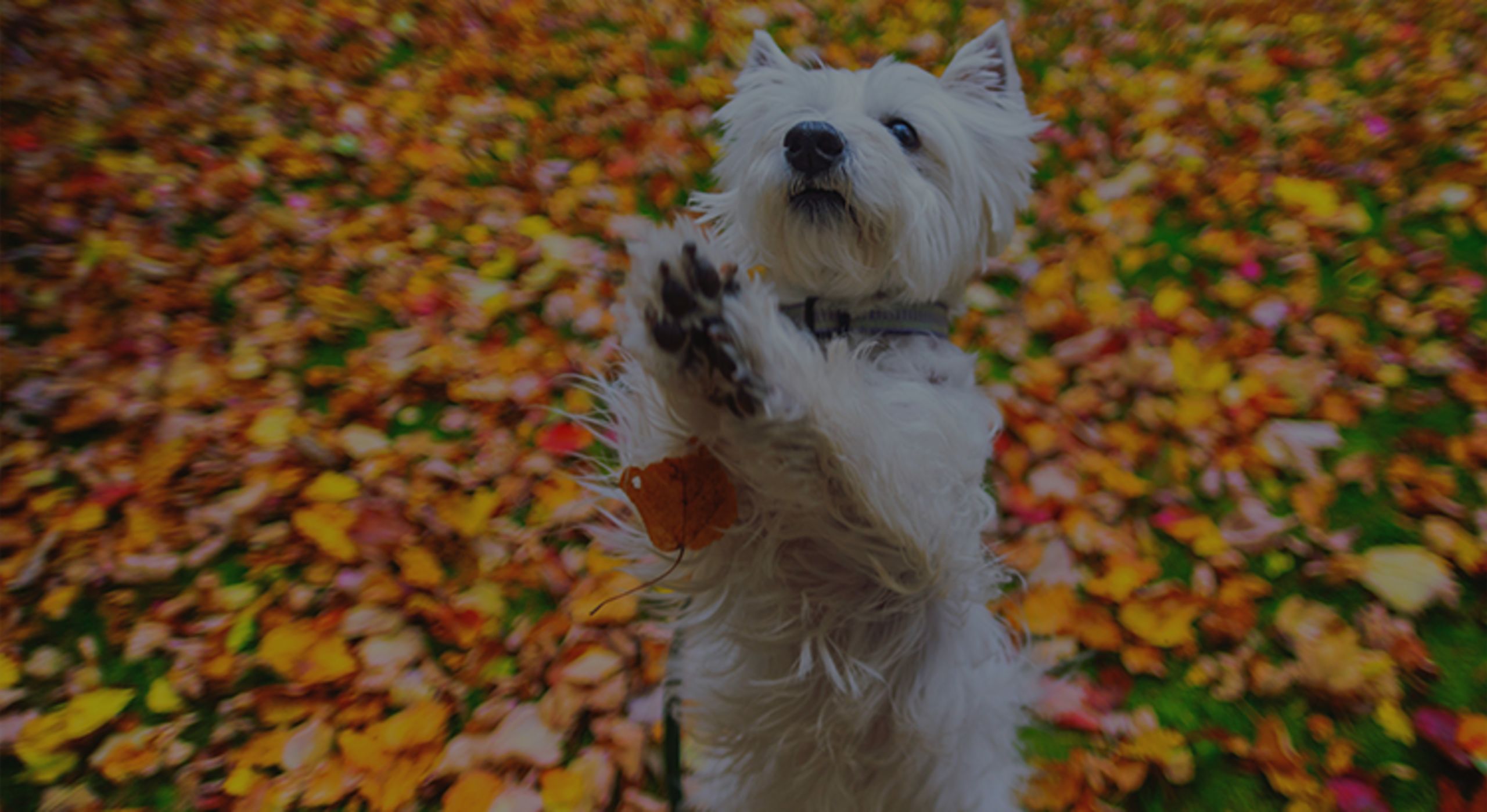 The #1 Reason to Not Wait Until Spring to Sell Your House