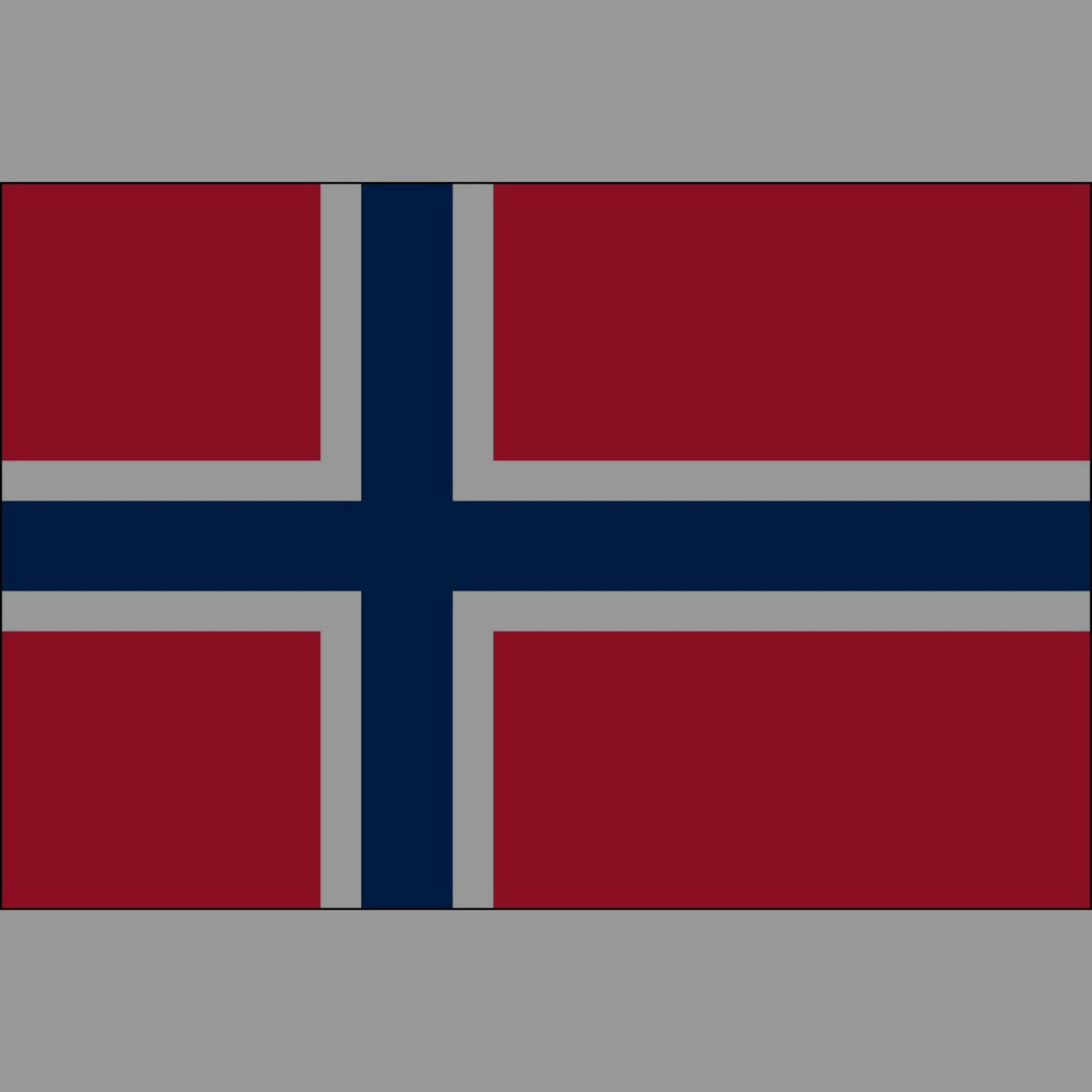 Syttende Mai 2023 New Directions Real Estate