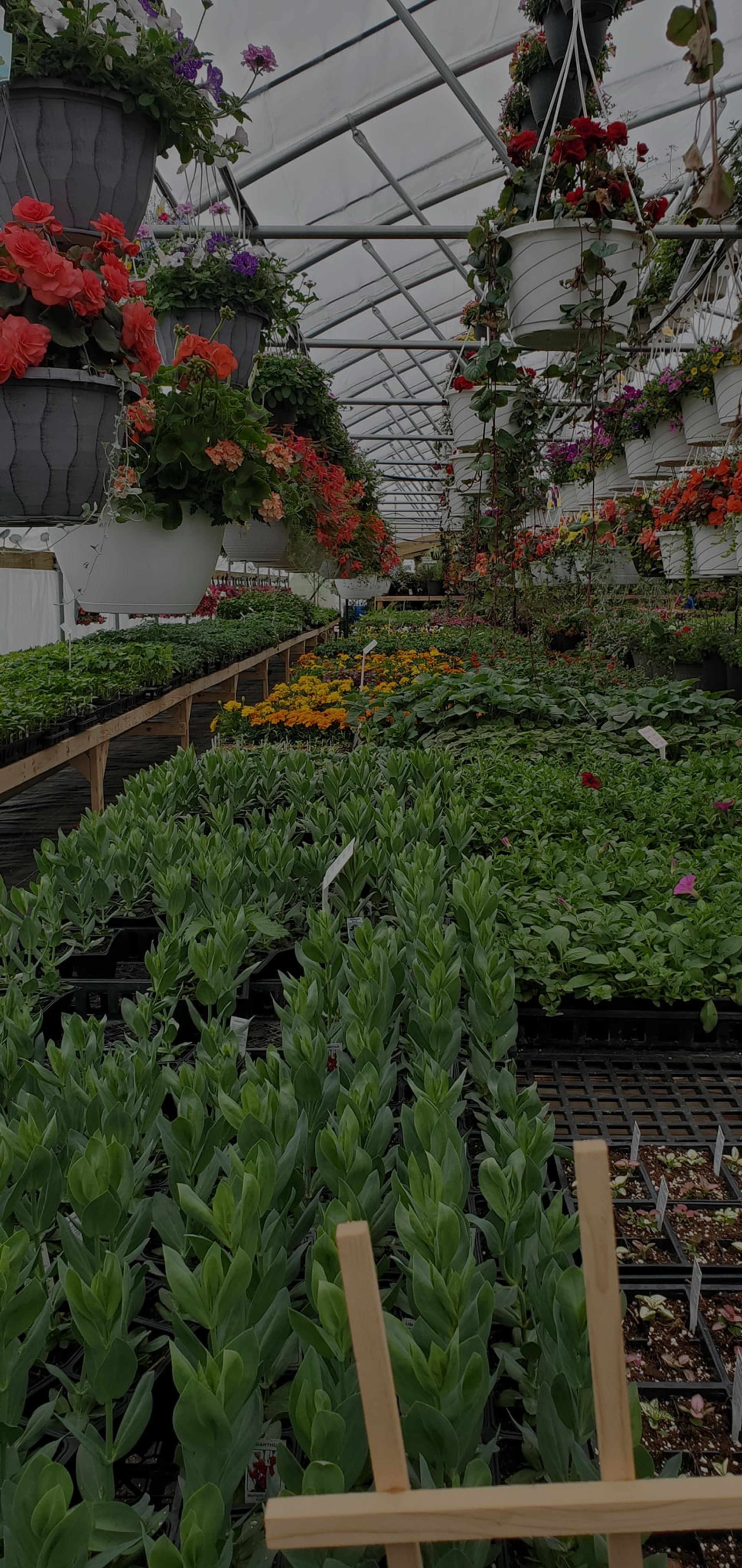 Area Greenhouses