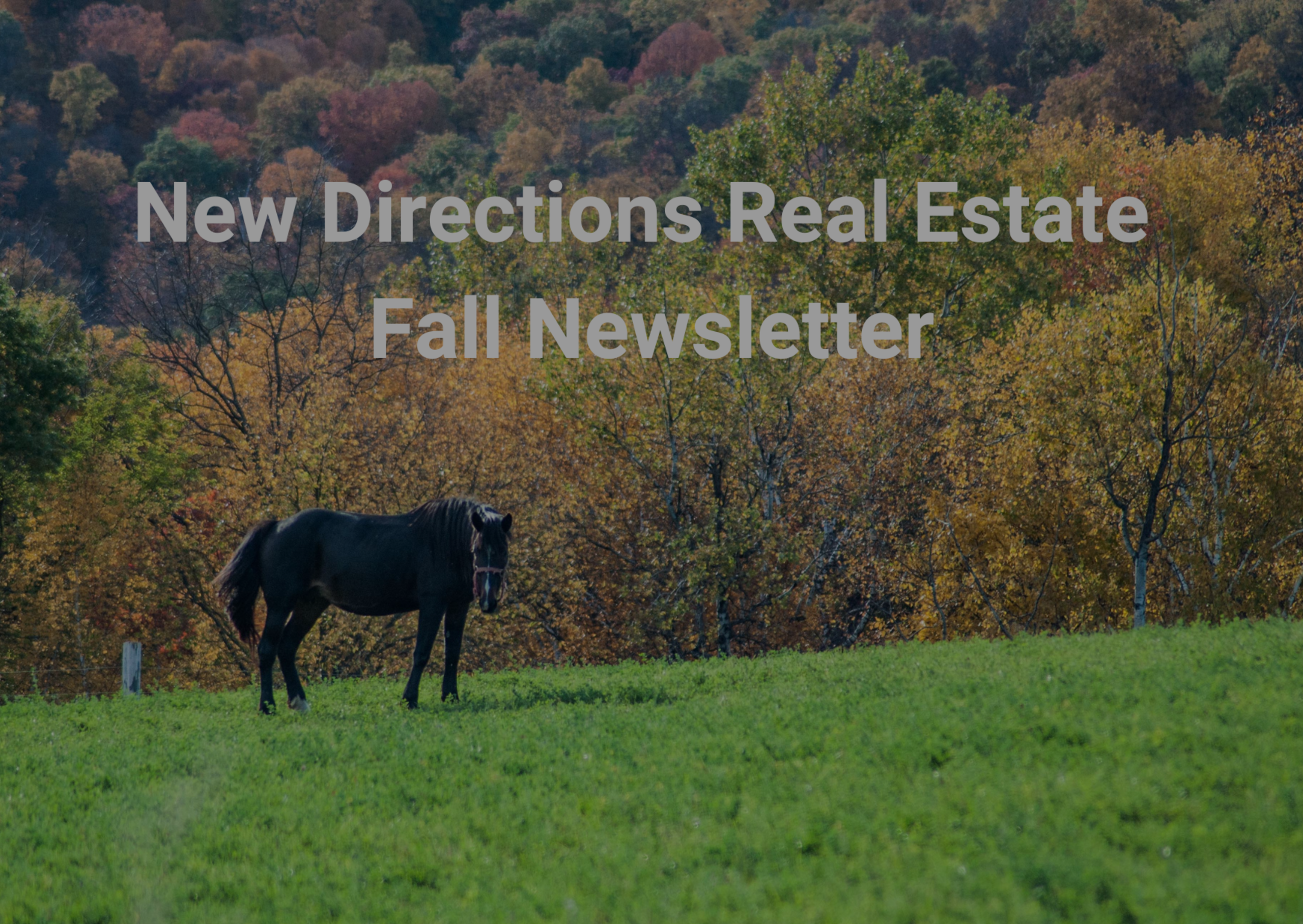 Fall Newsletter 2024