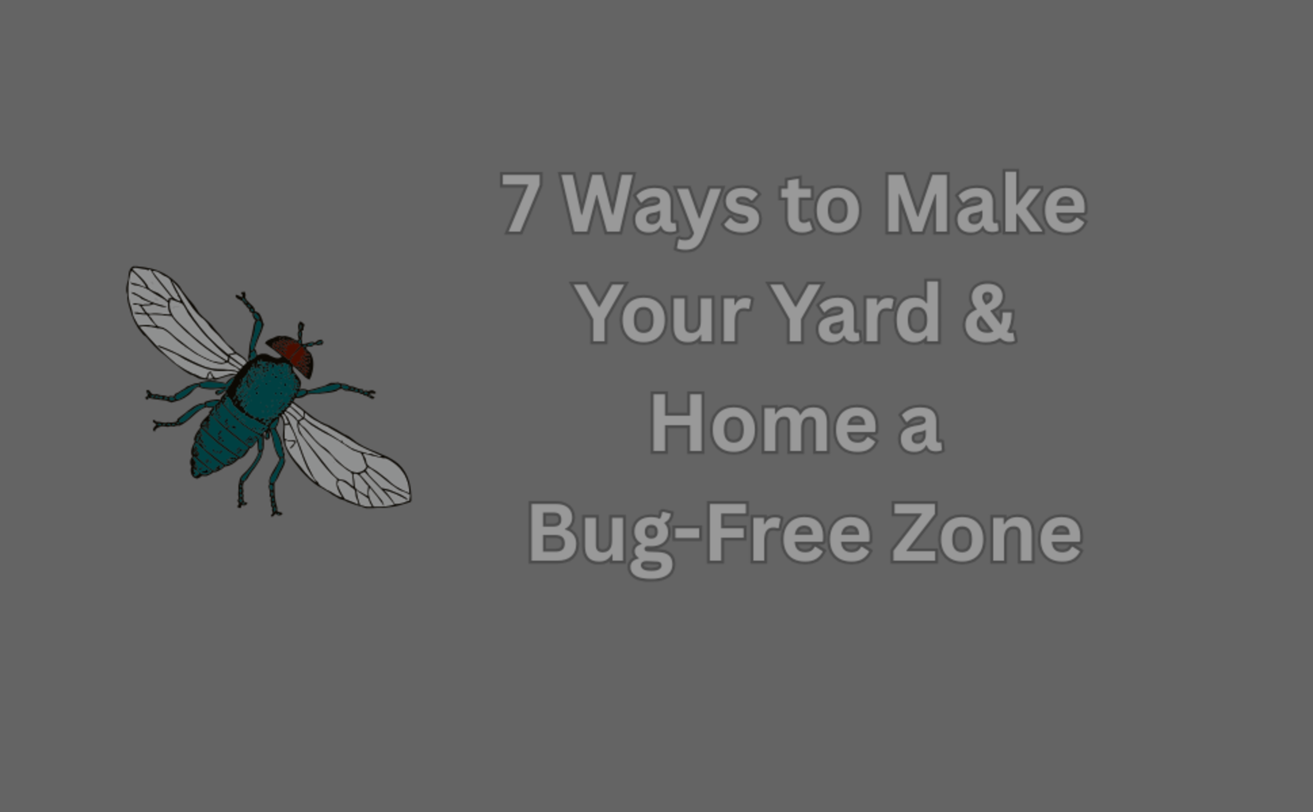 7 Ways to Make Your Yard & Home a Bug-Free Zone