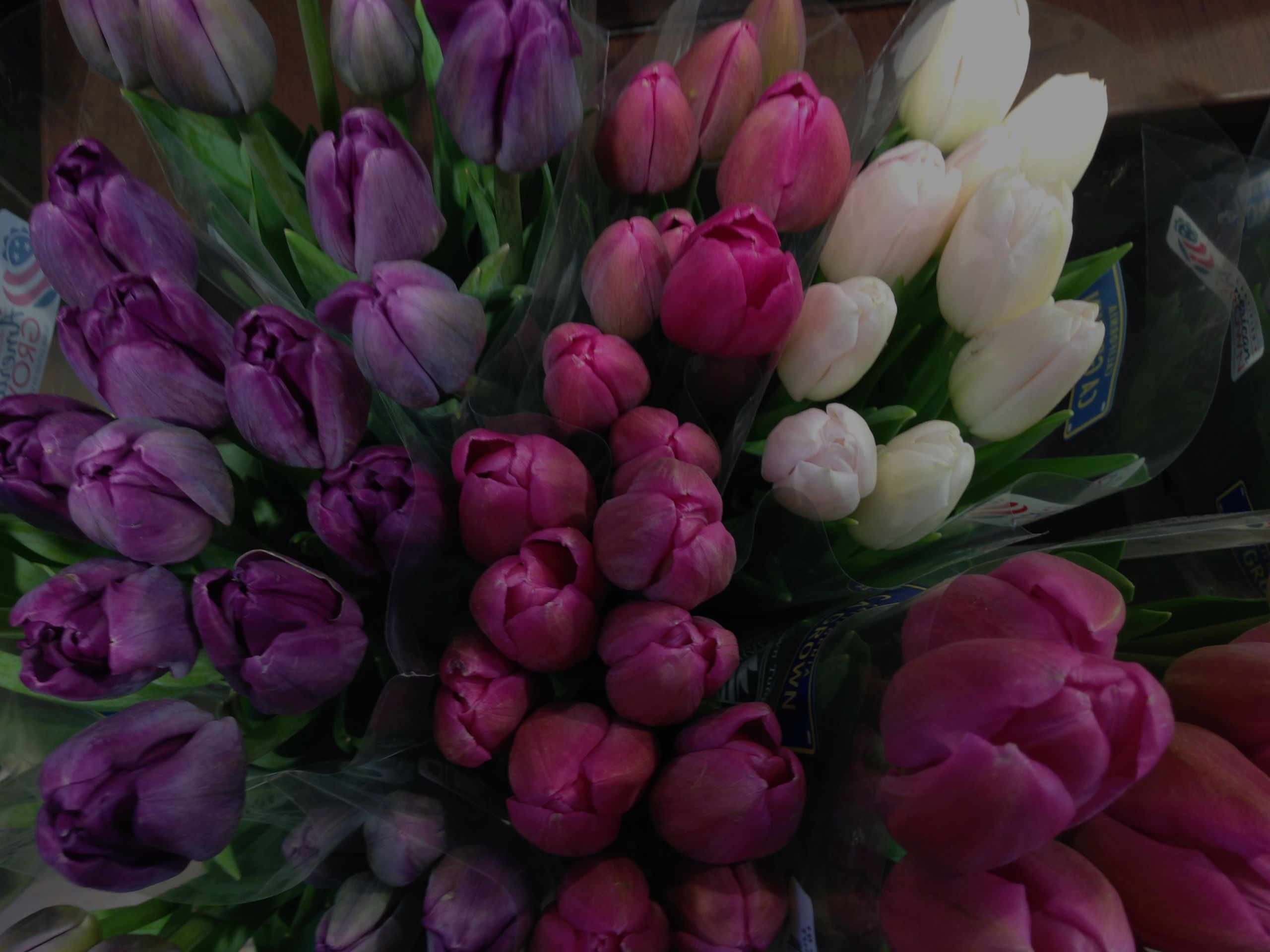 Briargate Colorado Springs Housing Market, what are homes worth this Spring?