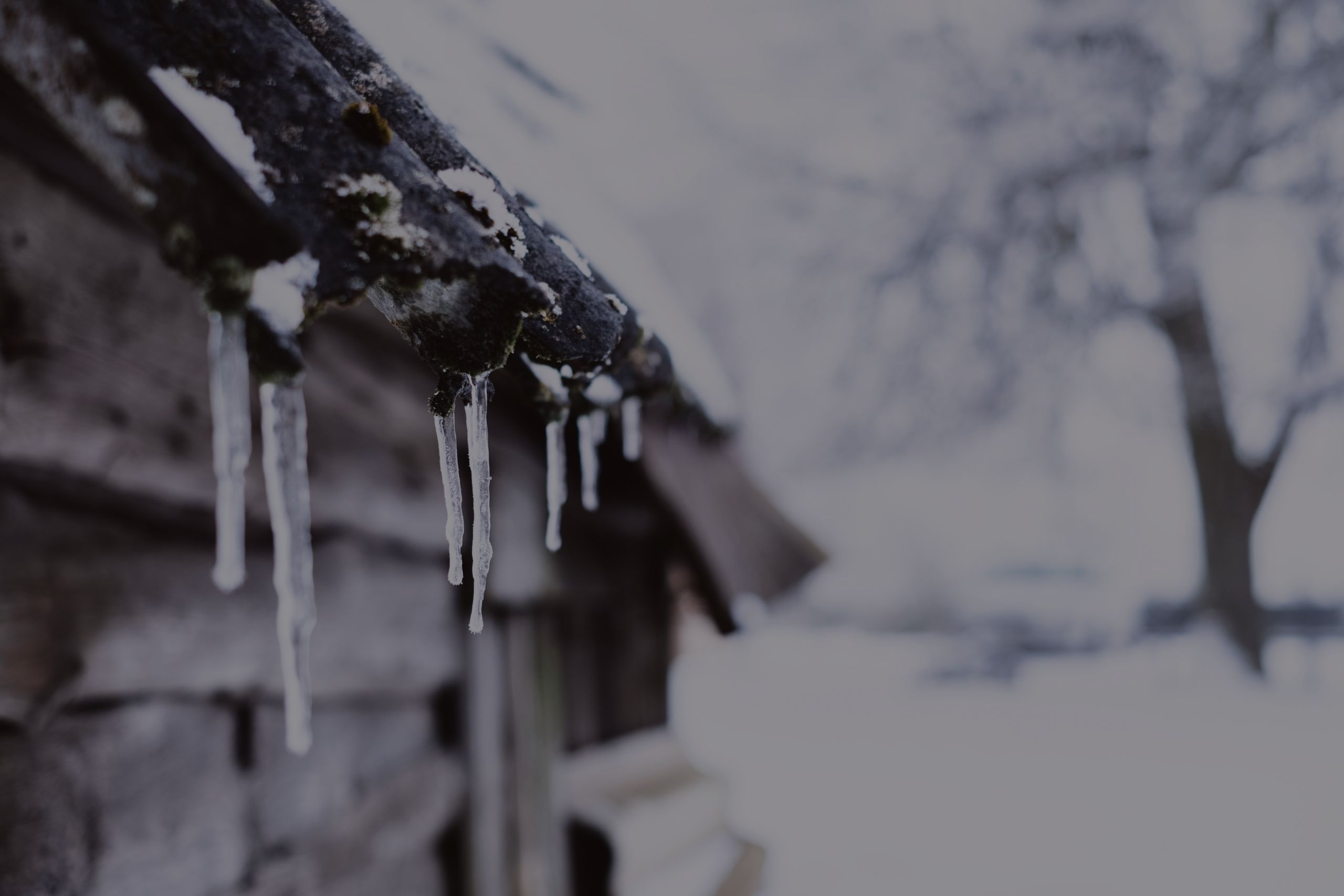 Winter Roof Protection