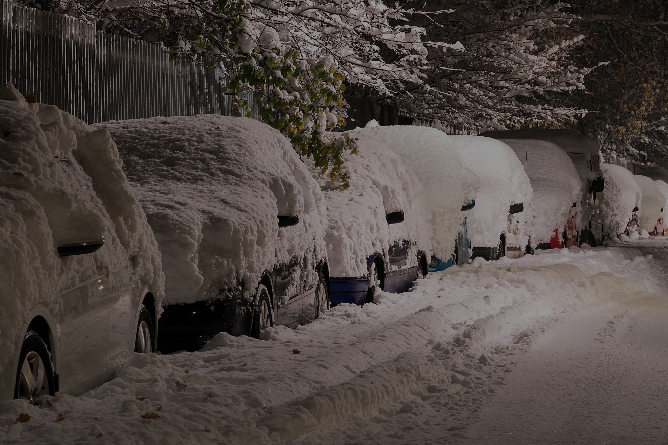 Snowstorm Etiquette