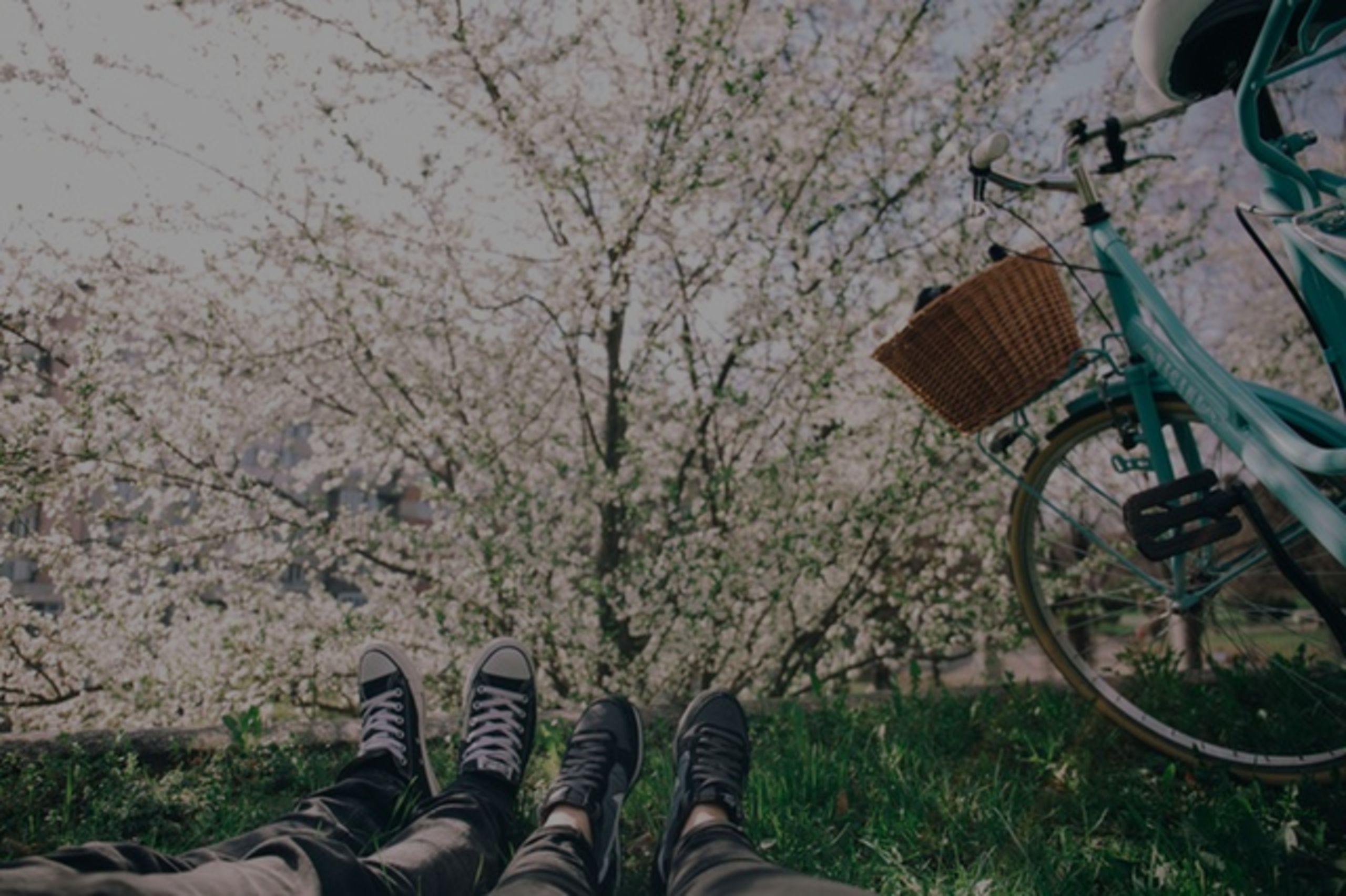 ​​Tips for Buying a Healthy Home