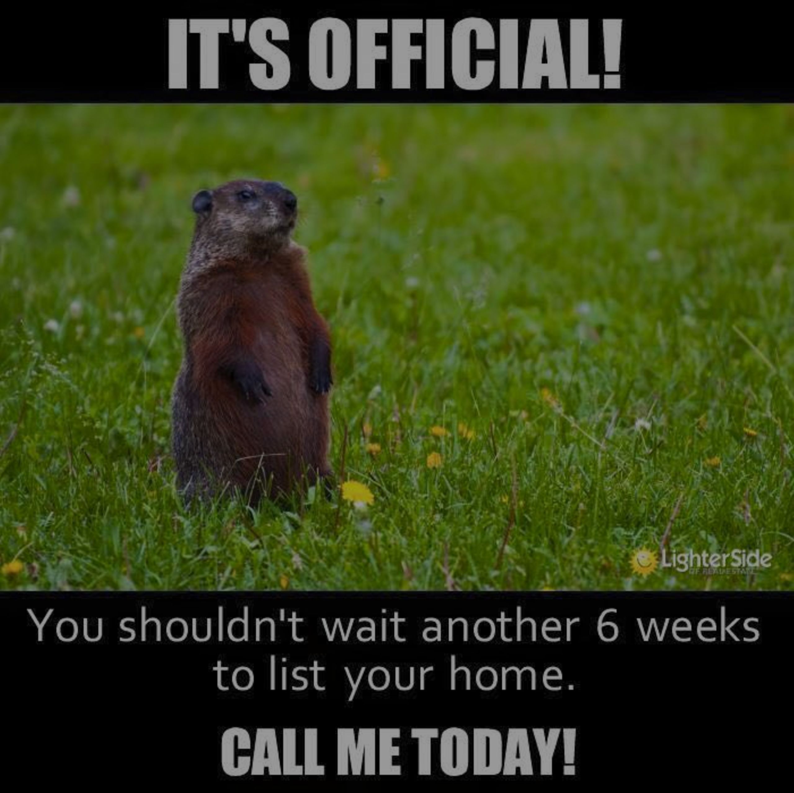 ​Do you believe whether a groundhog sees its shadow or not is a true indication of when Spring will come?