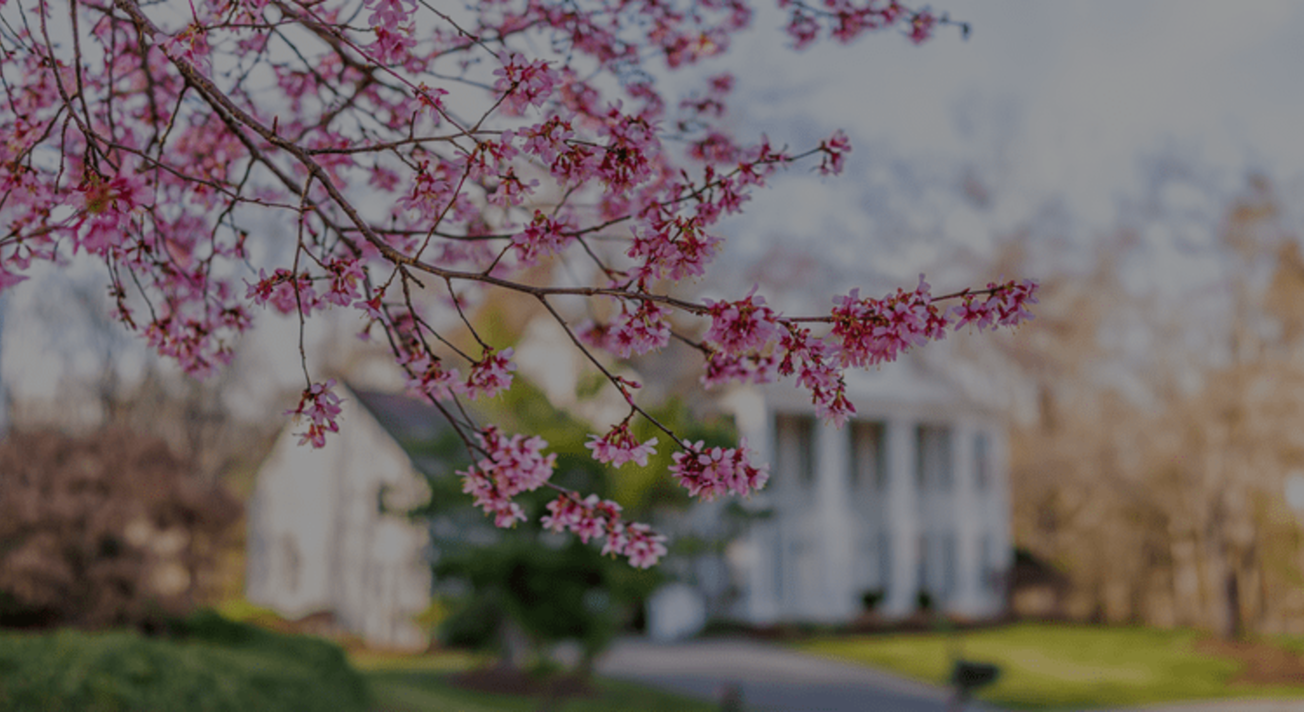 4 Ways To Make an Offer That Stands Out This Spring