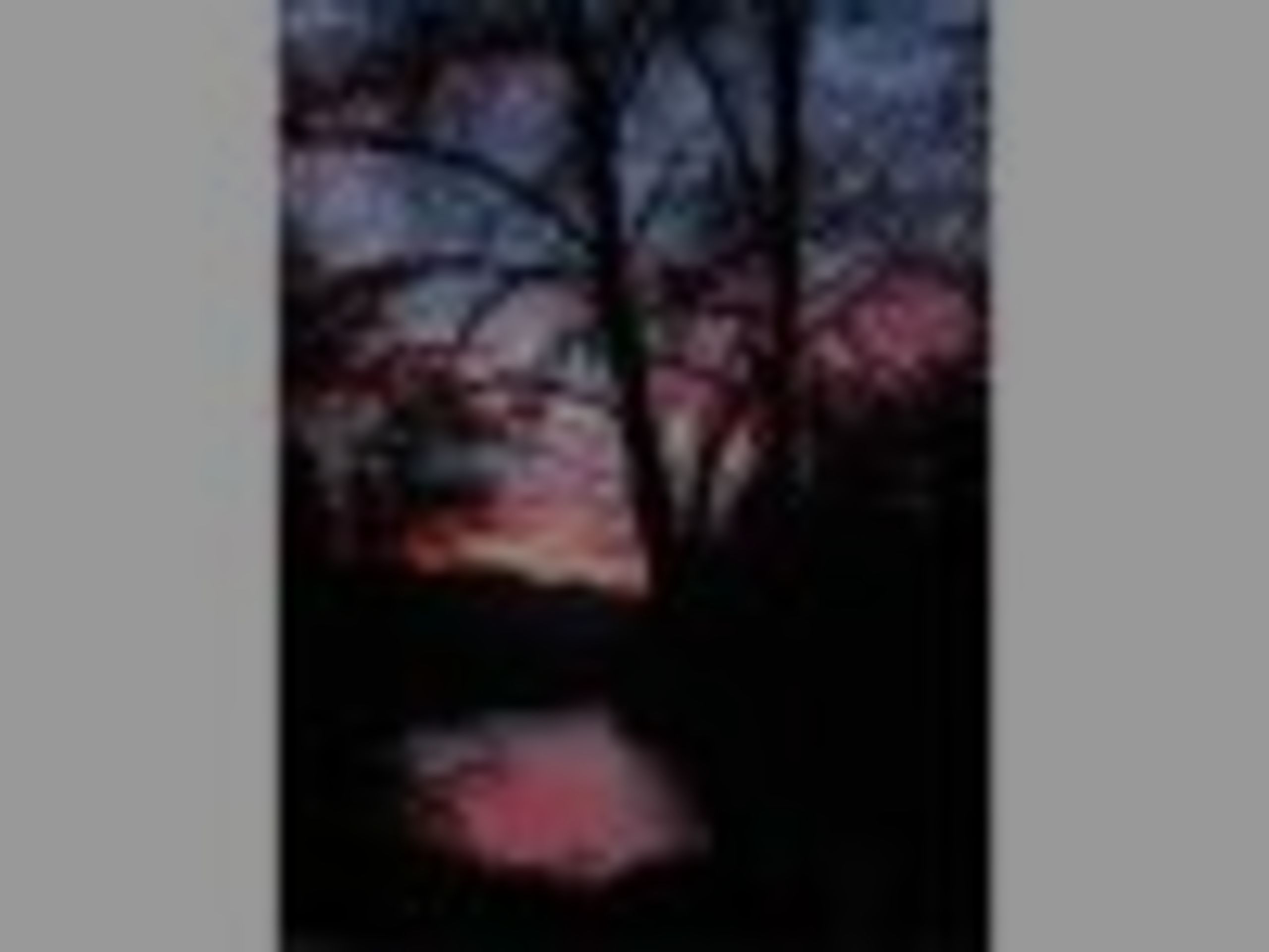 45766 MCKENZIE HWY, VIDA, OREGON