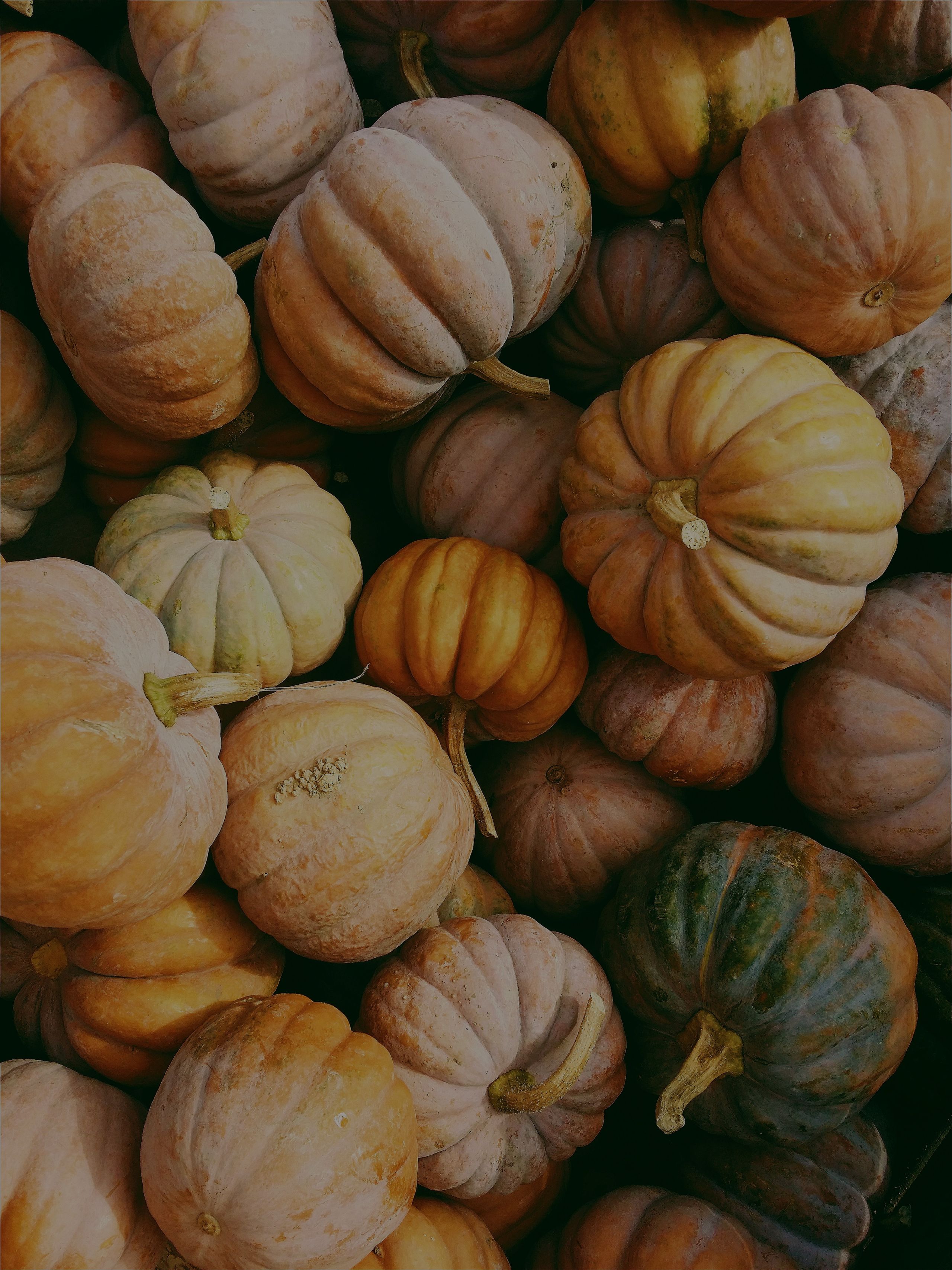 Fall Forecast