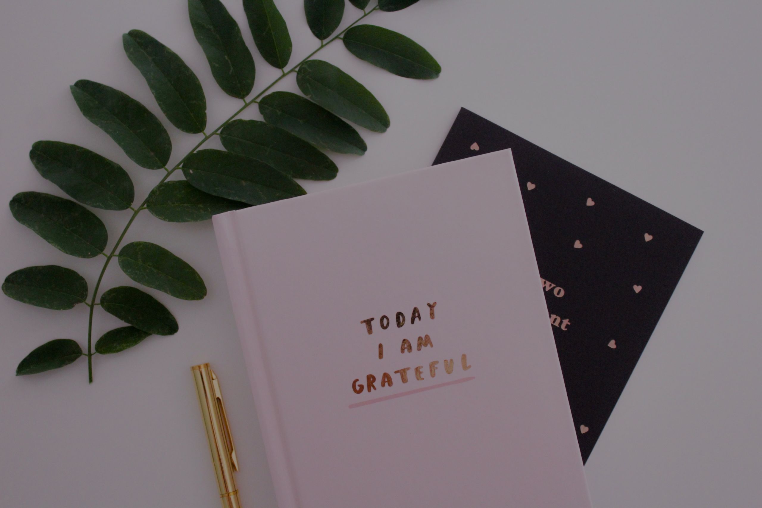 Focus on Gratitude