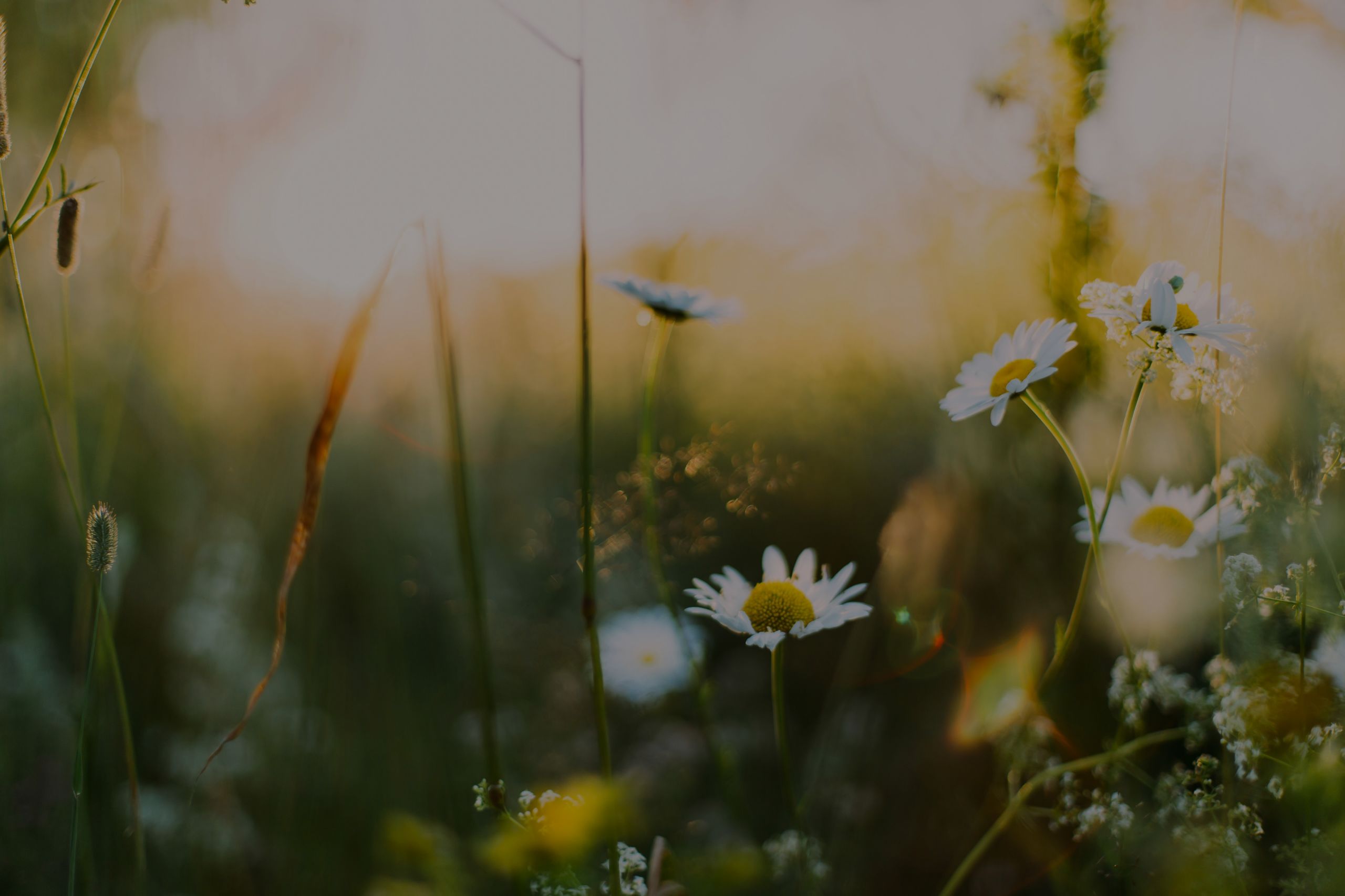 Spring Market Update
