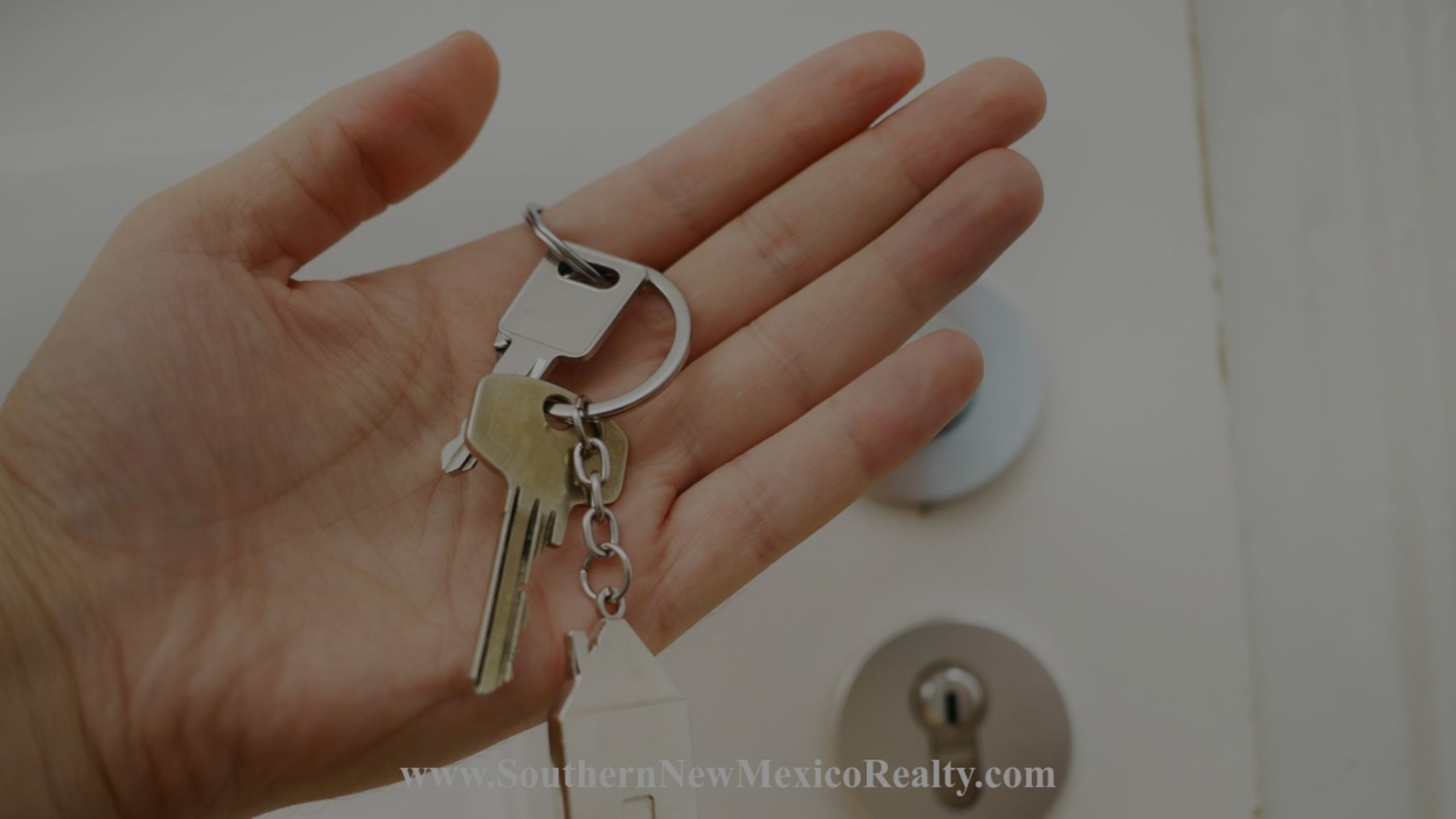 What to Look for in a Real Estate Agent