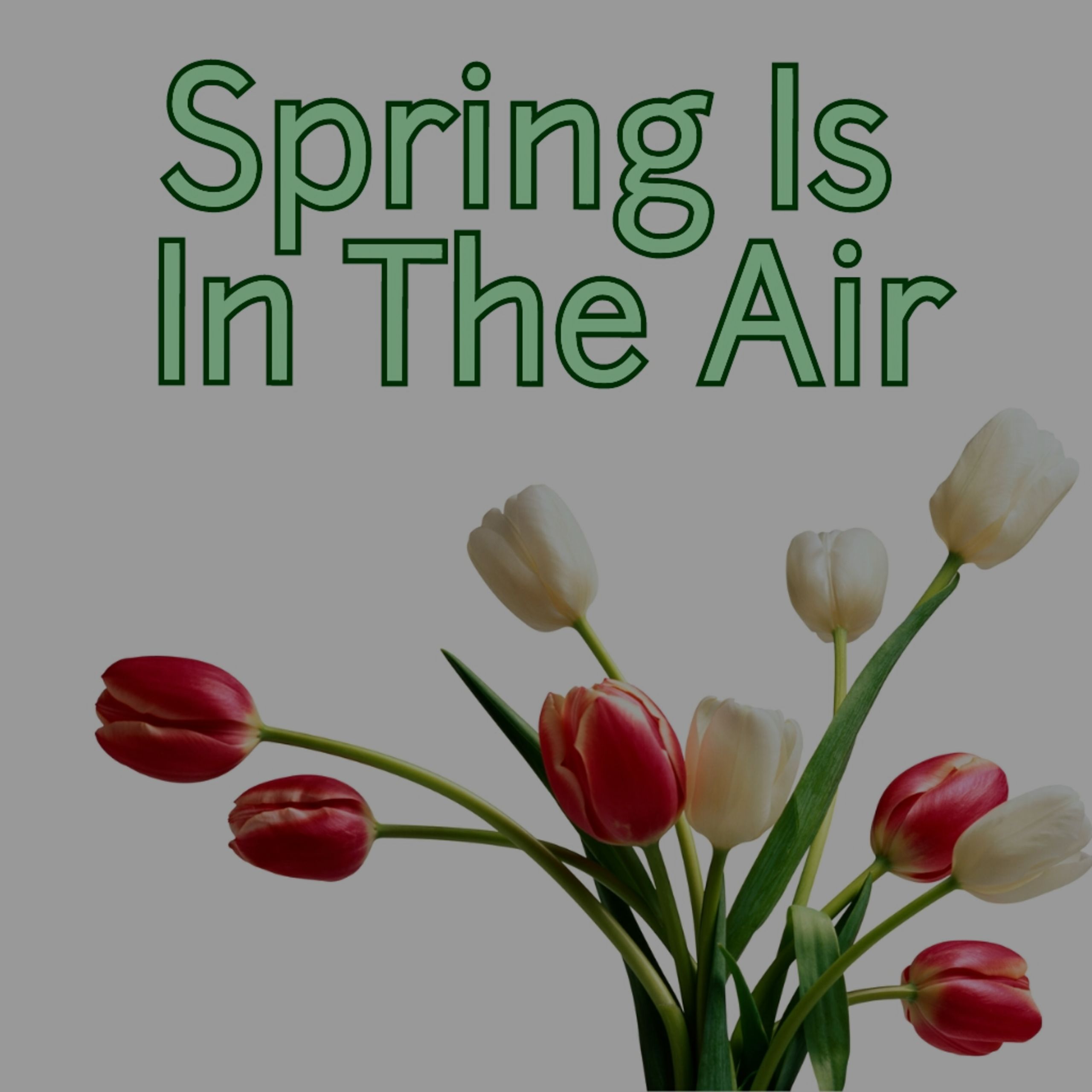 Fredericksburg, VA, Gets a Sneak Preview of Spring