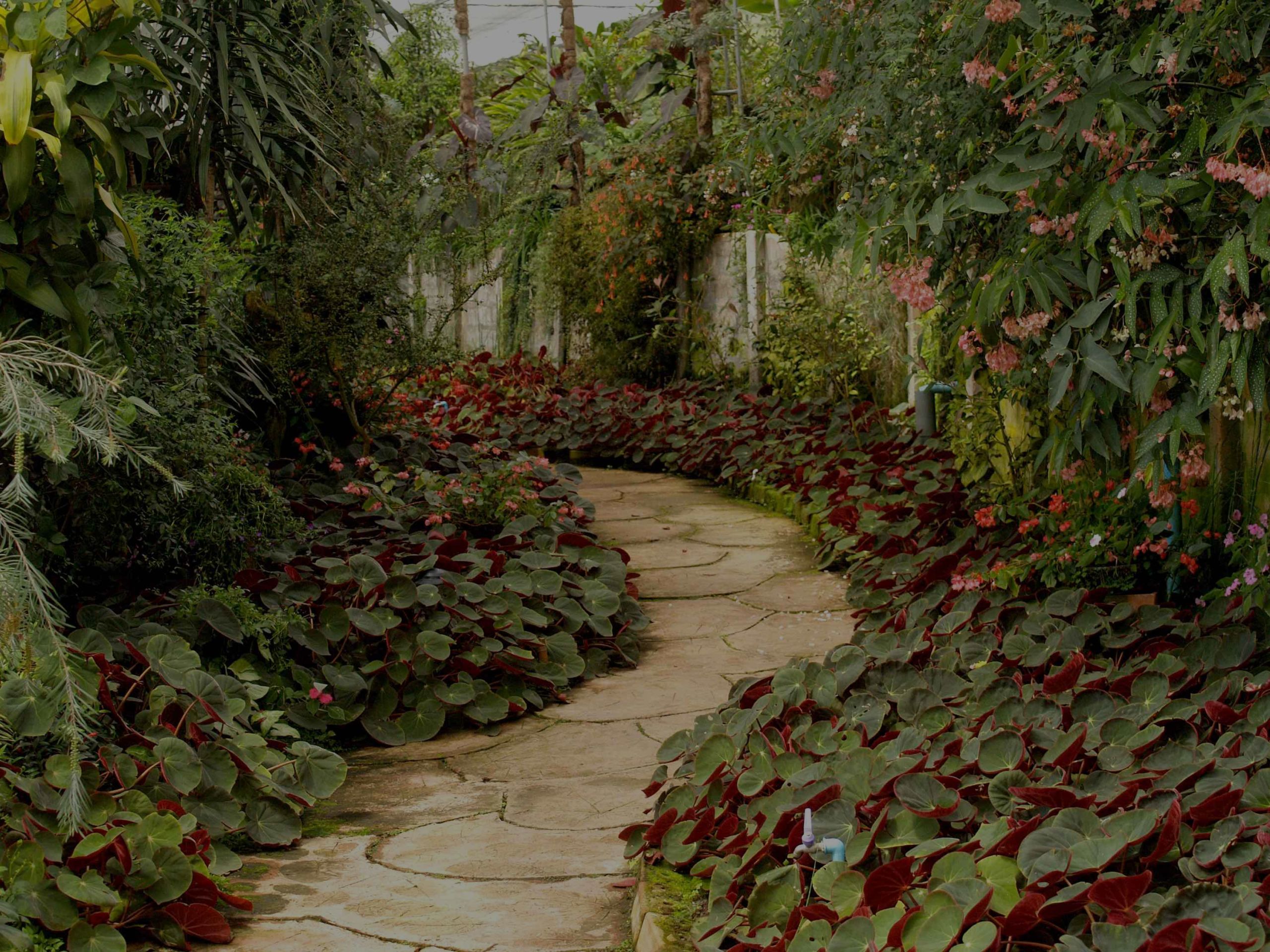 DIY: Easy Landscaping Projects
