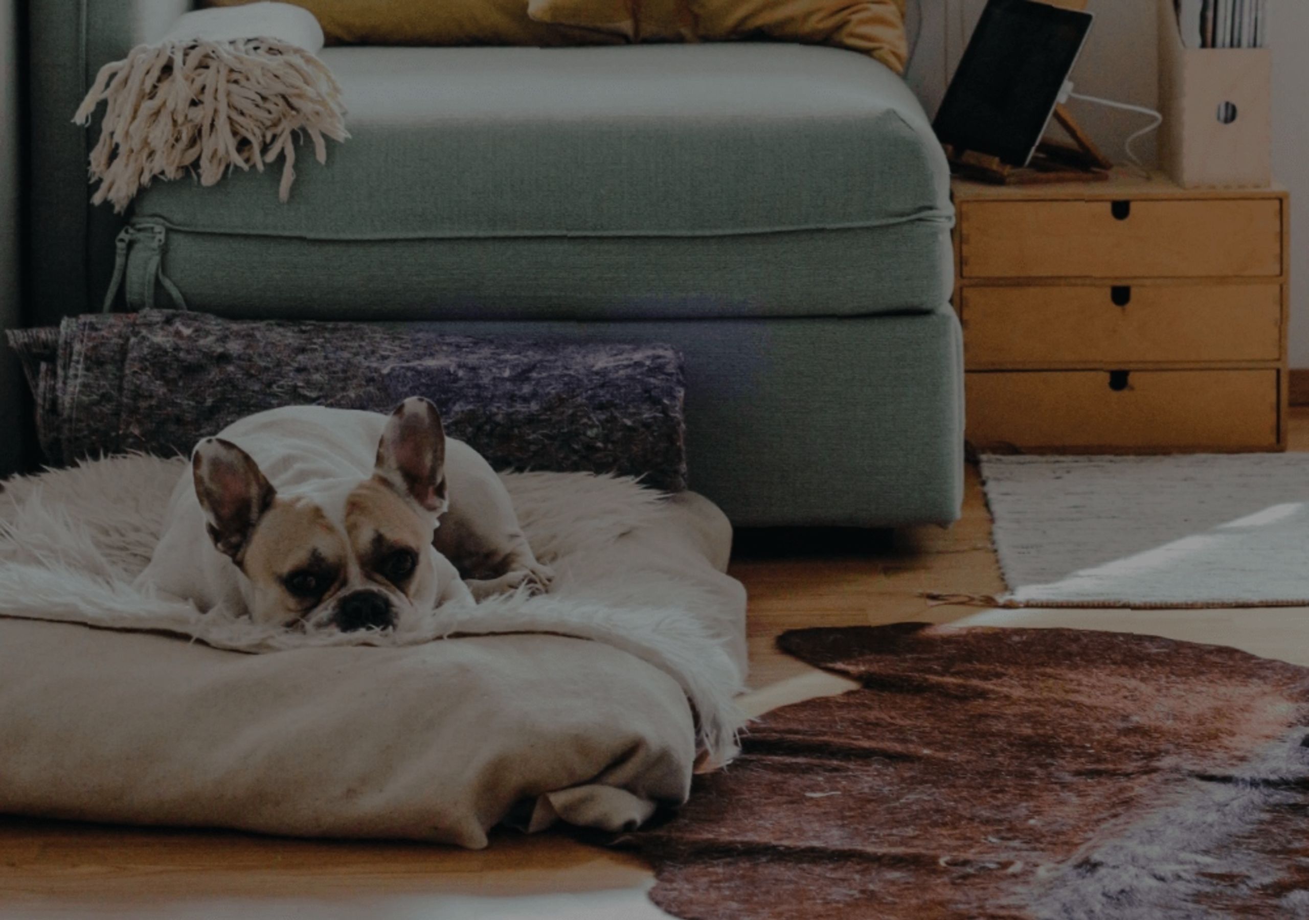 Top 8 Home Design and Remodeling Trends for 2019
