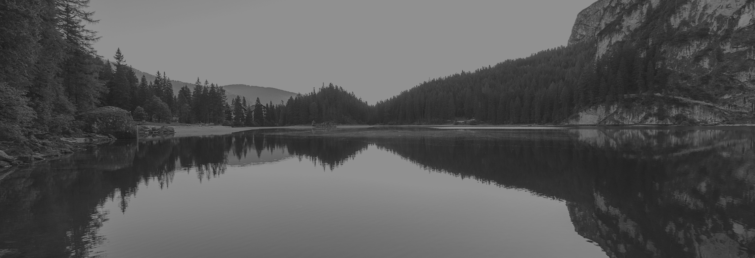 Search widget