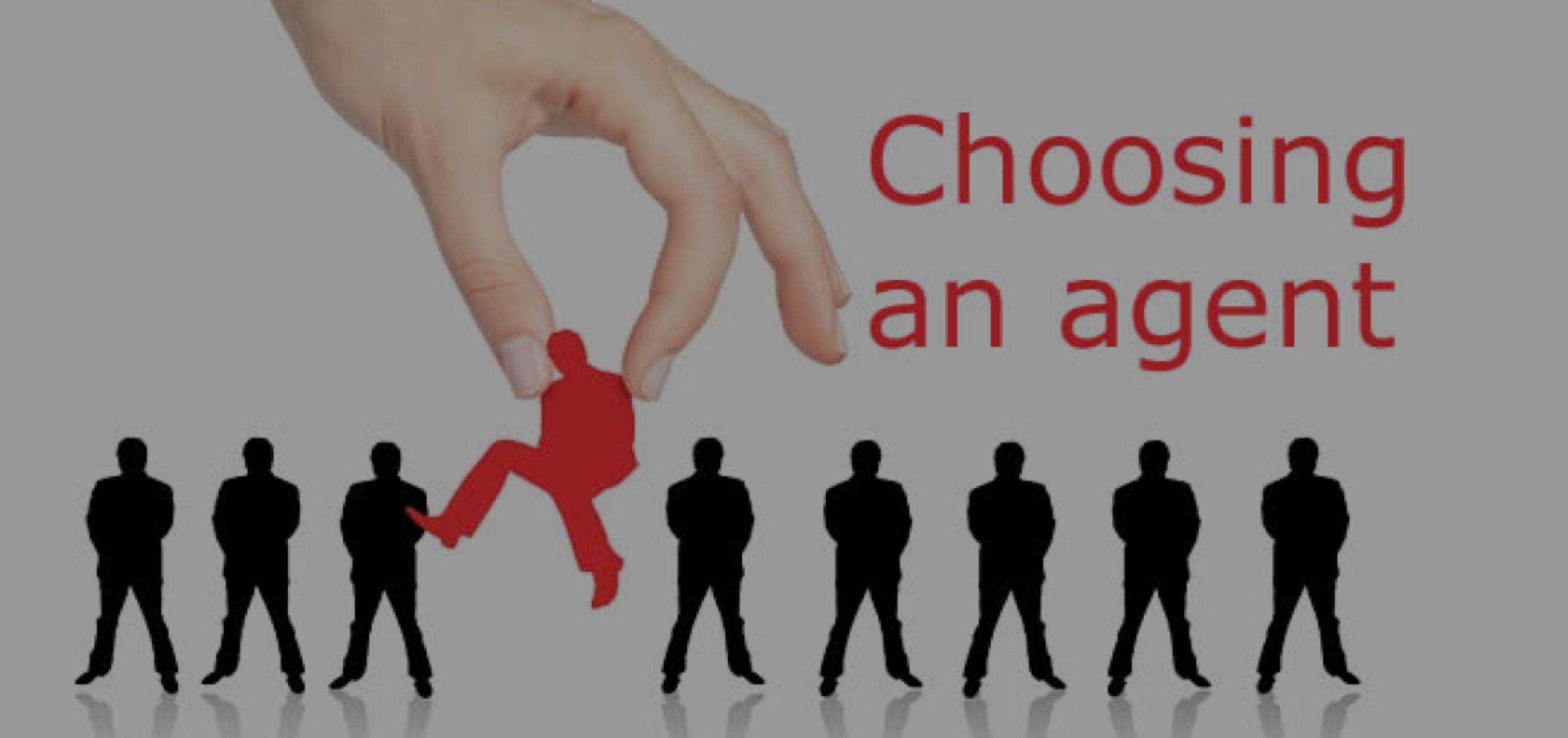 What Should You Look For In Your Real Estate Team