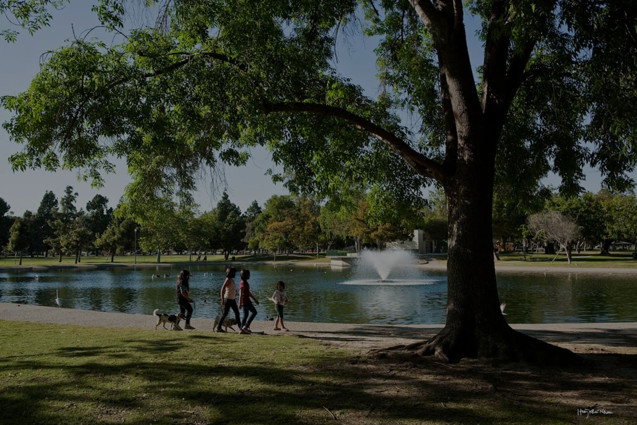 El Dorado Park Long Beach: Why This Established Neighborhood Keeps Attracting the Most Committed Buyers in the City