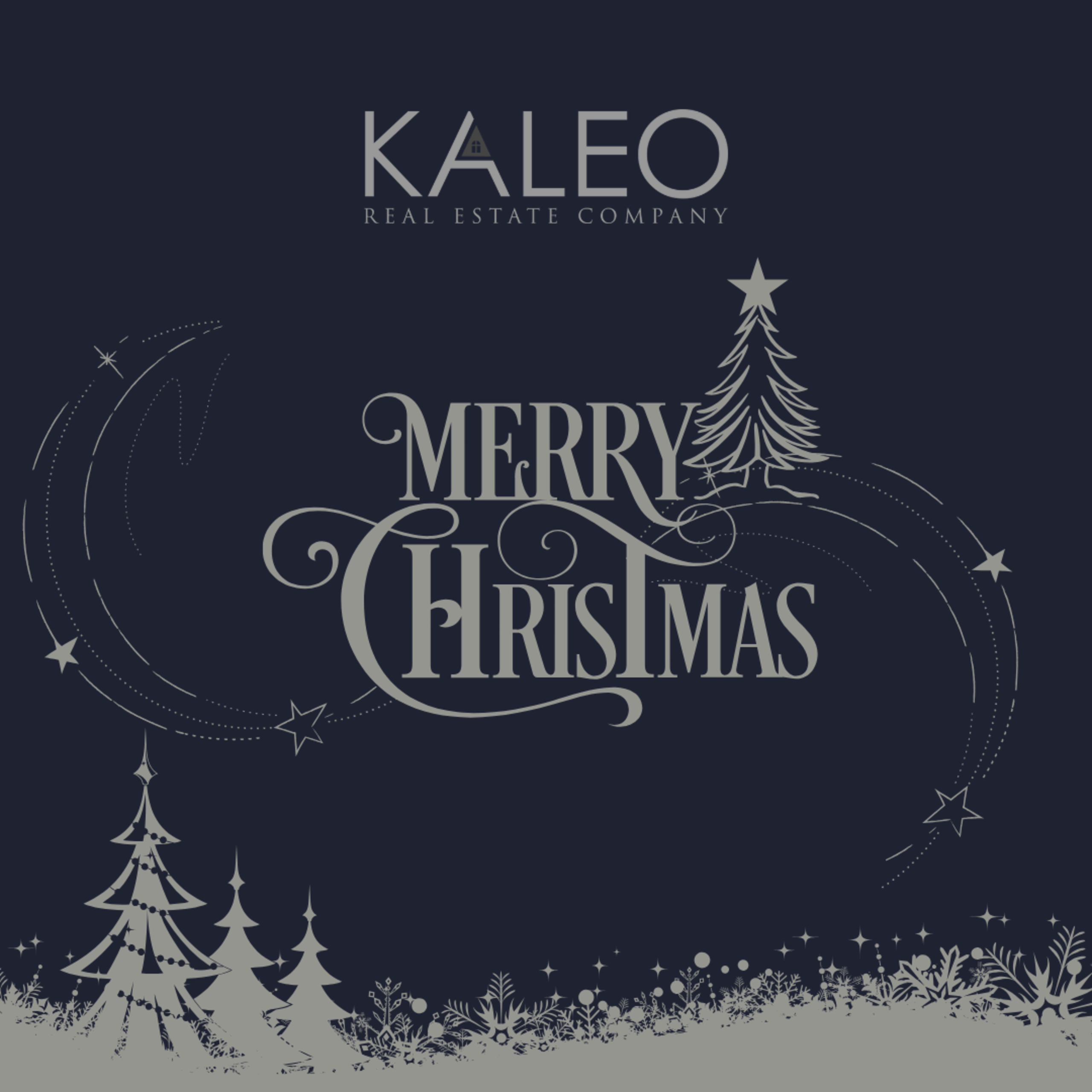 Wishing You Peace, Joy, and a Bright New Year Ahead!