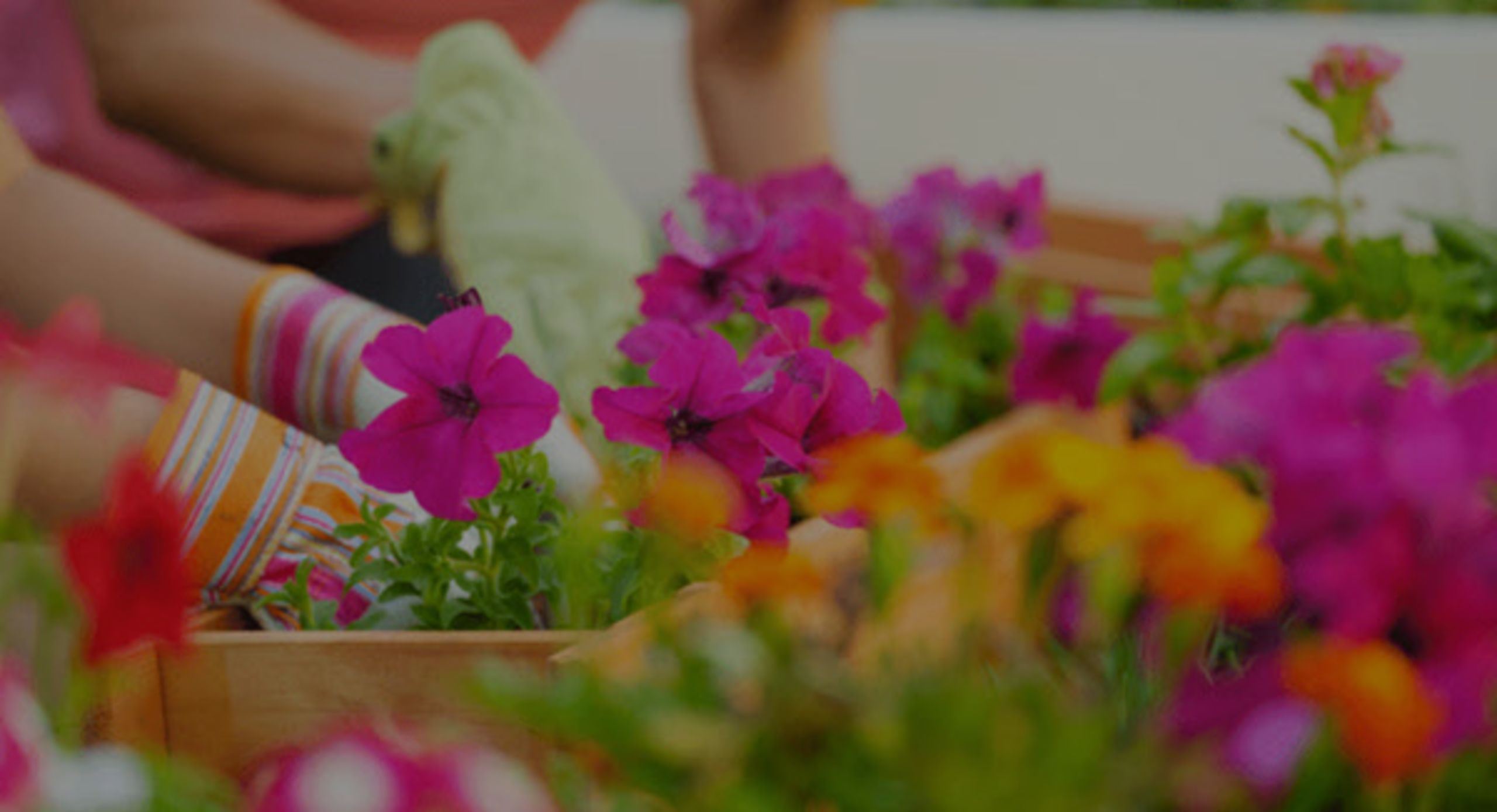 Why I Recommend Staging in Phoenix—Even in Today’s Market