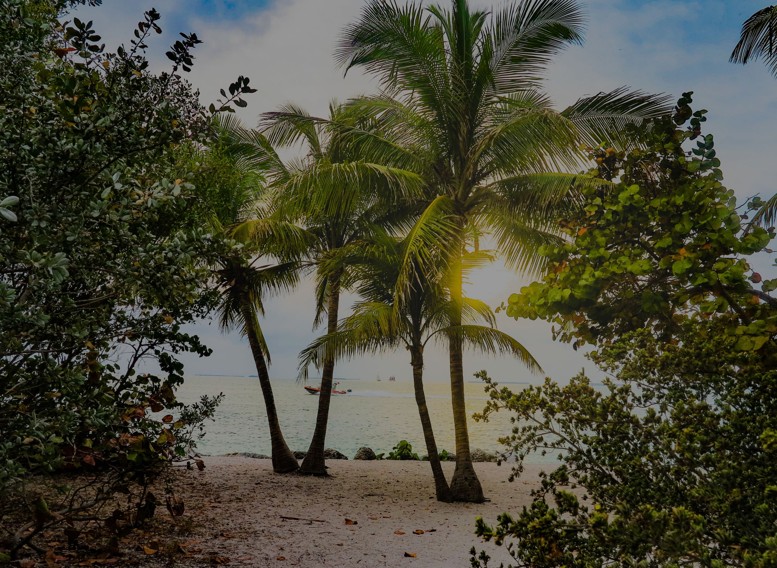 Best 55+ Communities in Boynton Beach: A Comprehensive Guide