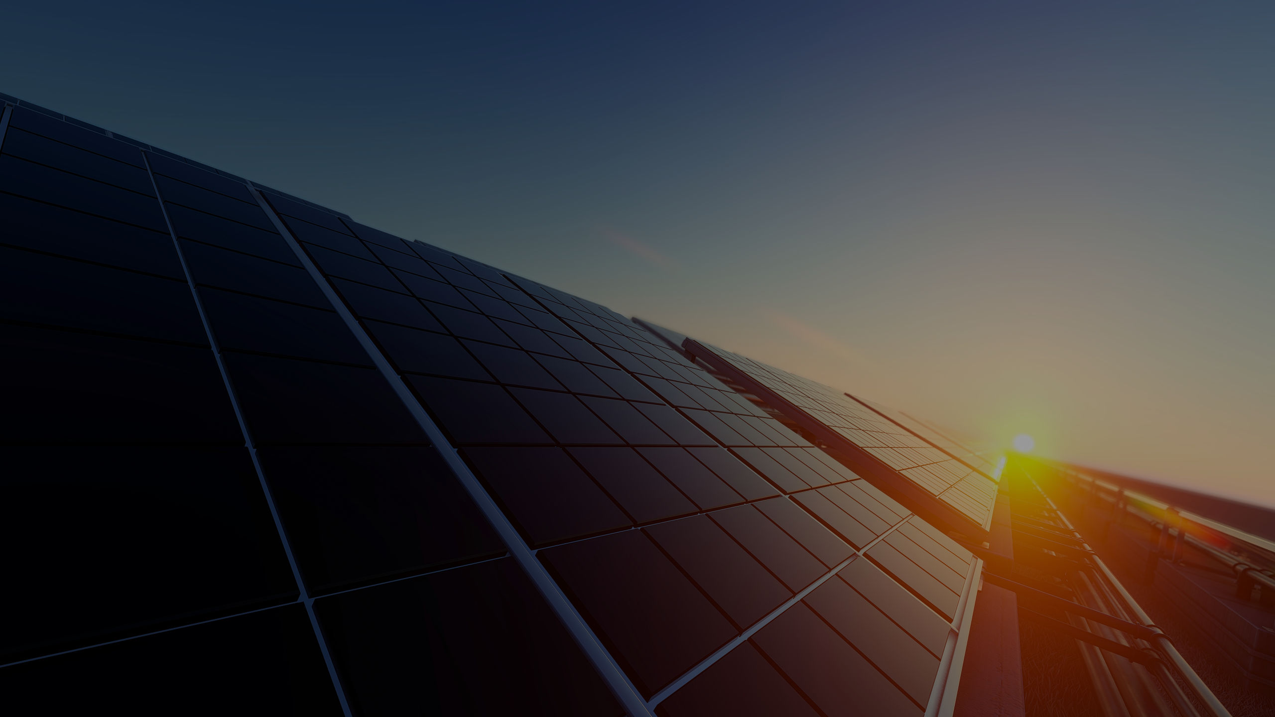 The Top Solar Panel Installation Companies in Hollywood, FL