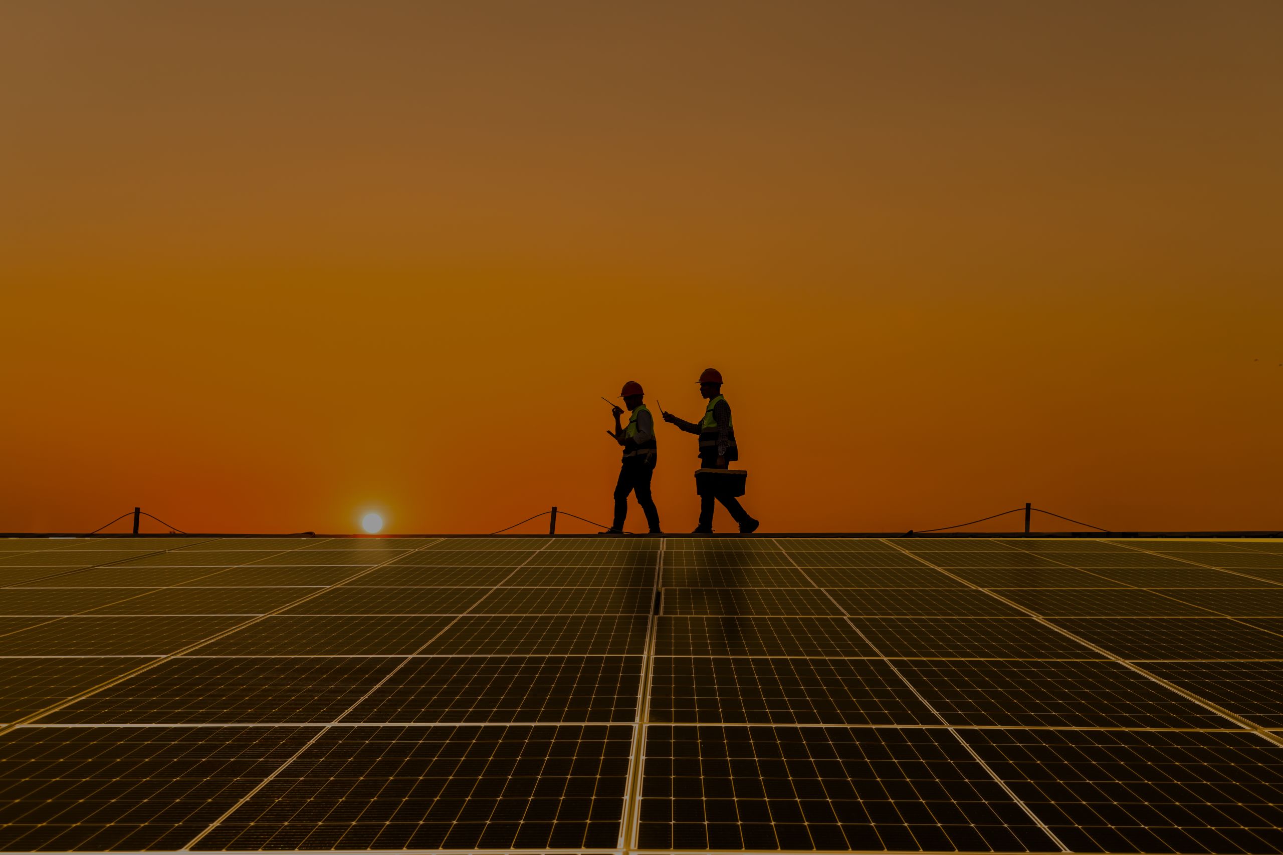 The Best Solar Companies in South Florida Picked by Real Estate Experts