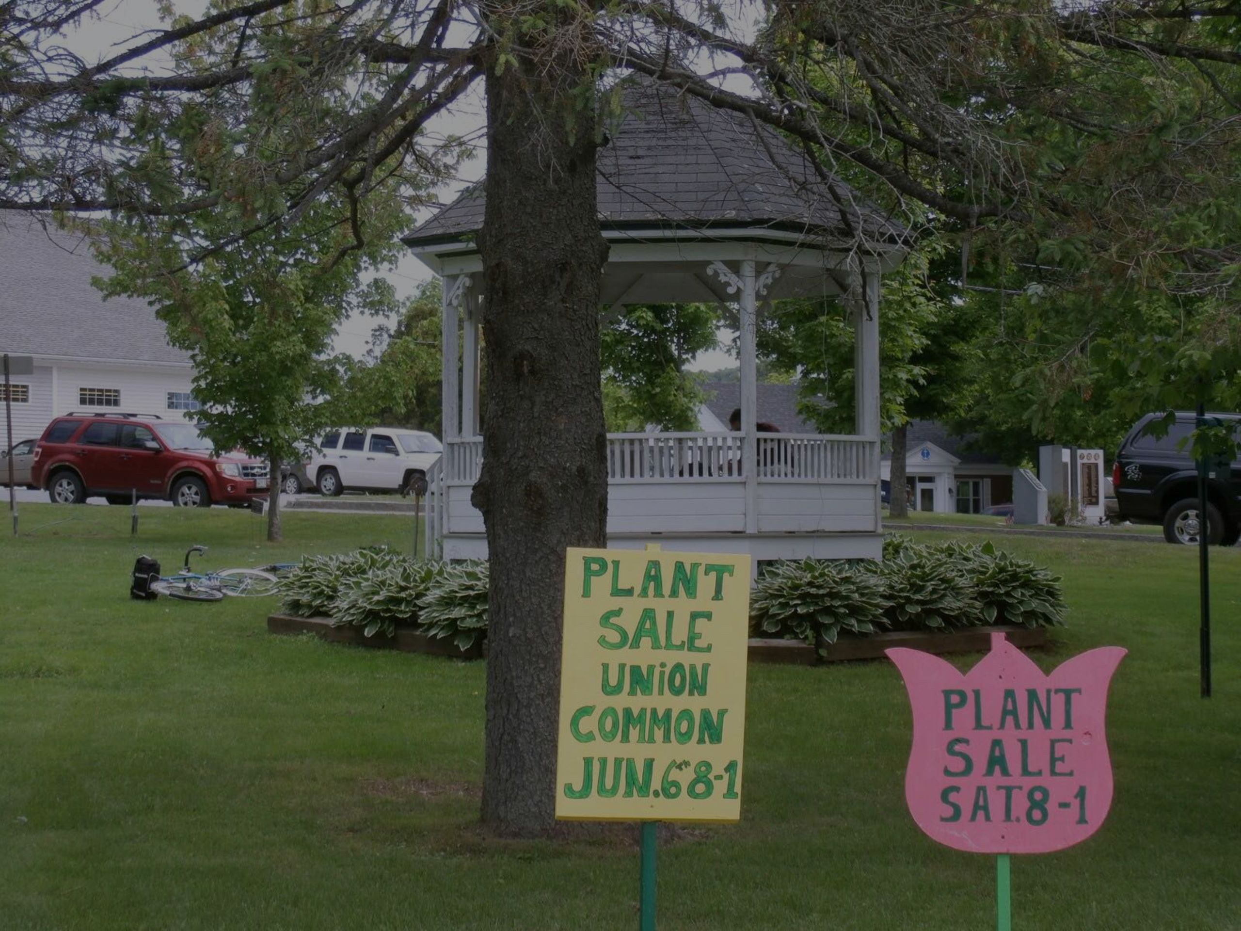 Plant Sale: On the Common