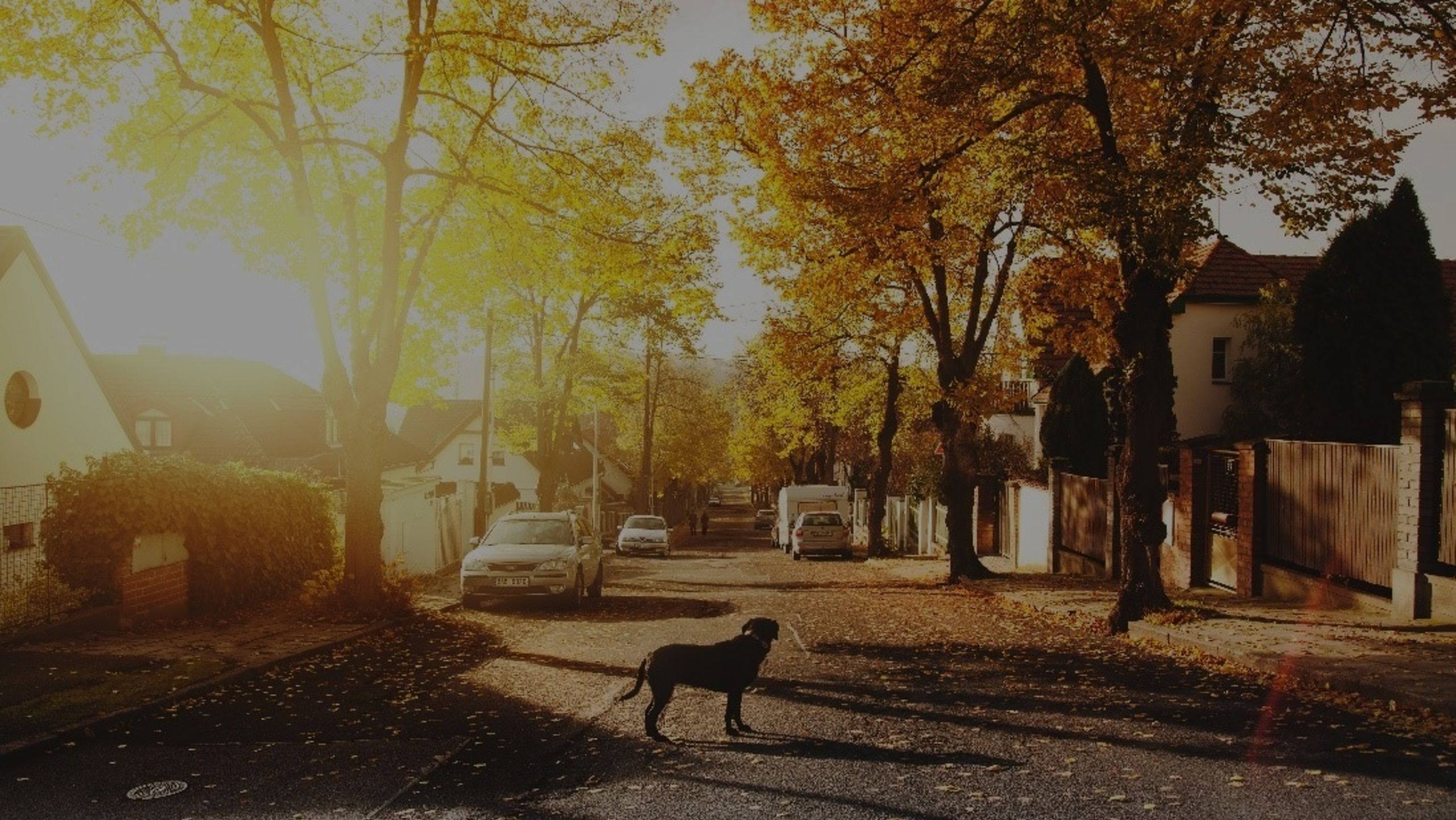 Fall Maintenance Checklist