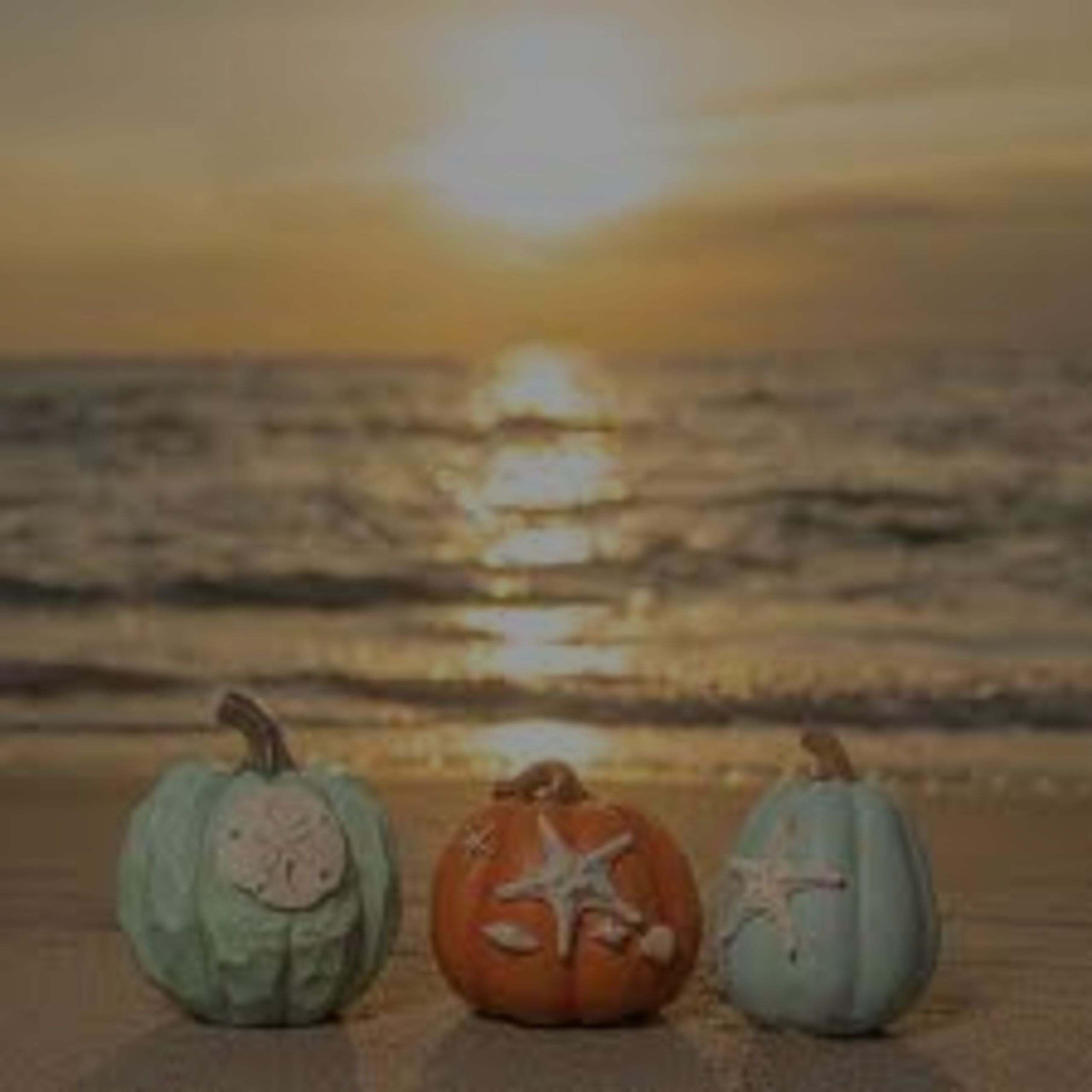 Seaside Scares and Island Thrills: Halloween on Anna Maria Island and Longboat Key &#8211; 2023