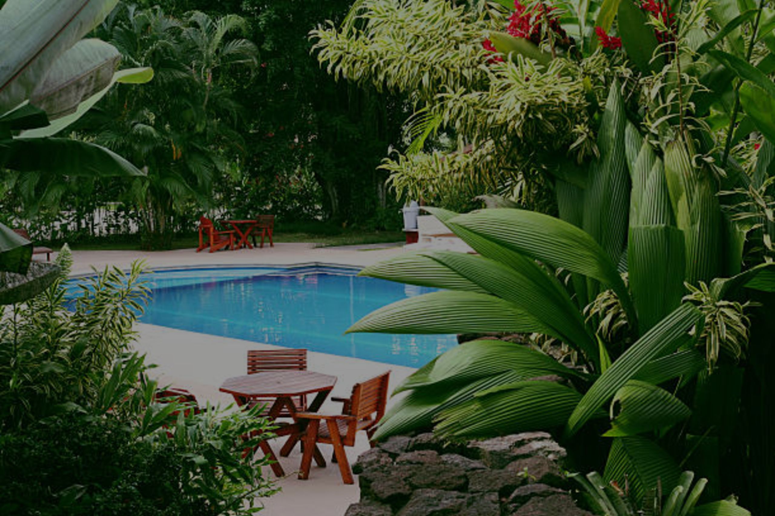 Transform Your Tropical Landscape: Tips for Anna Maria Island and Longboat Key Homeowners