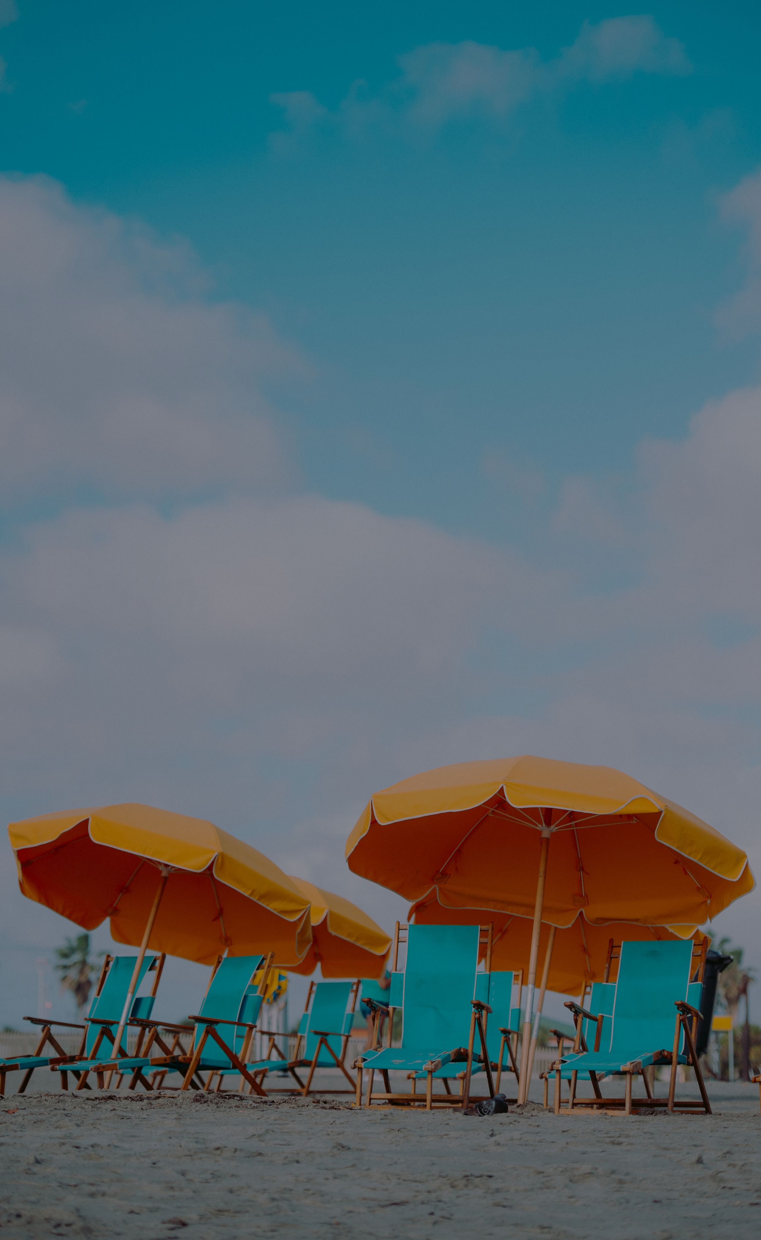 Is Summer the New Spring ??