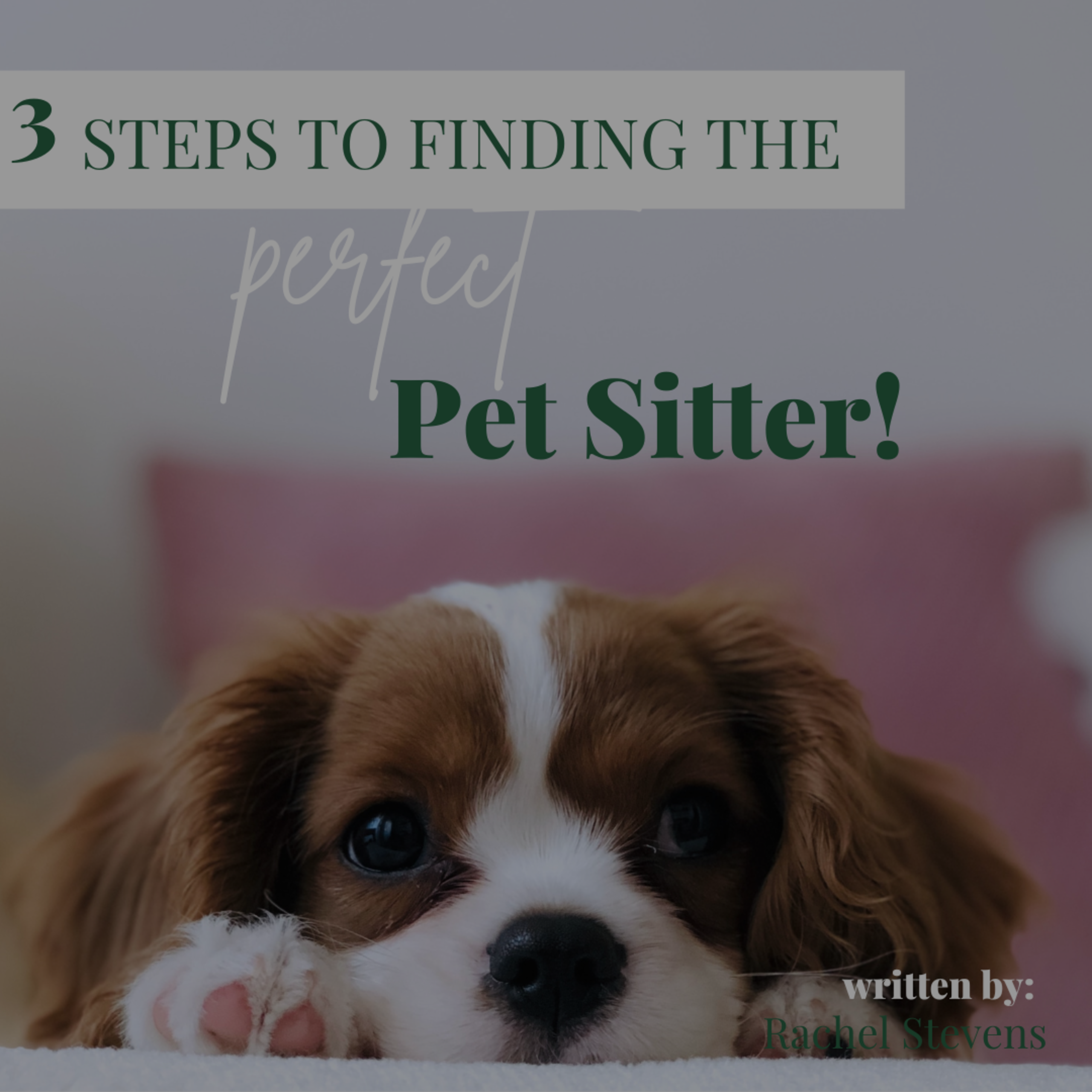 How to Select the Best Petsitter for your Furry Family!
