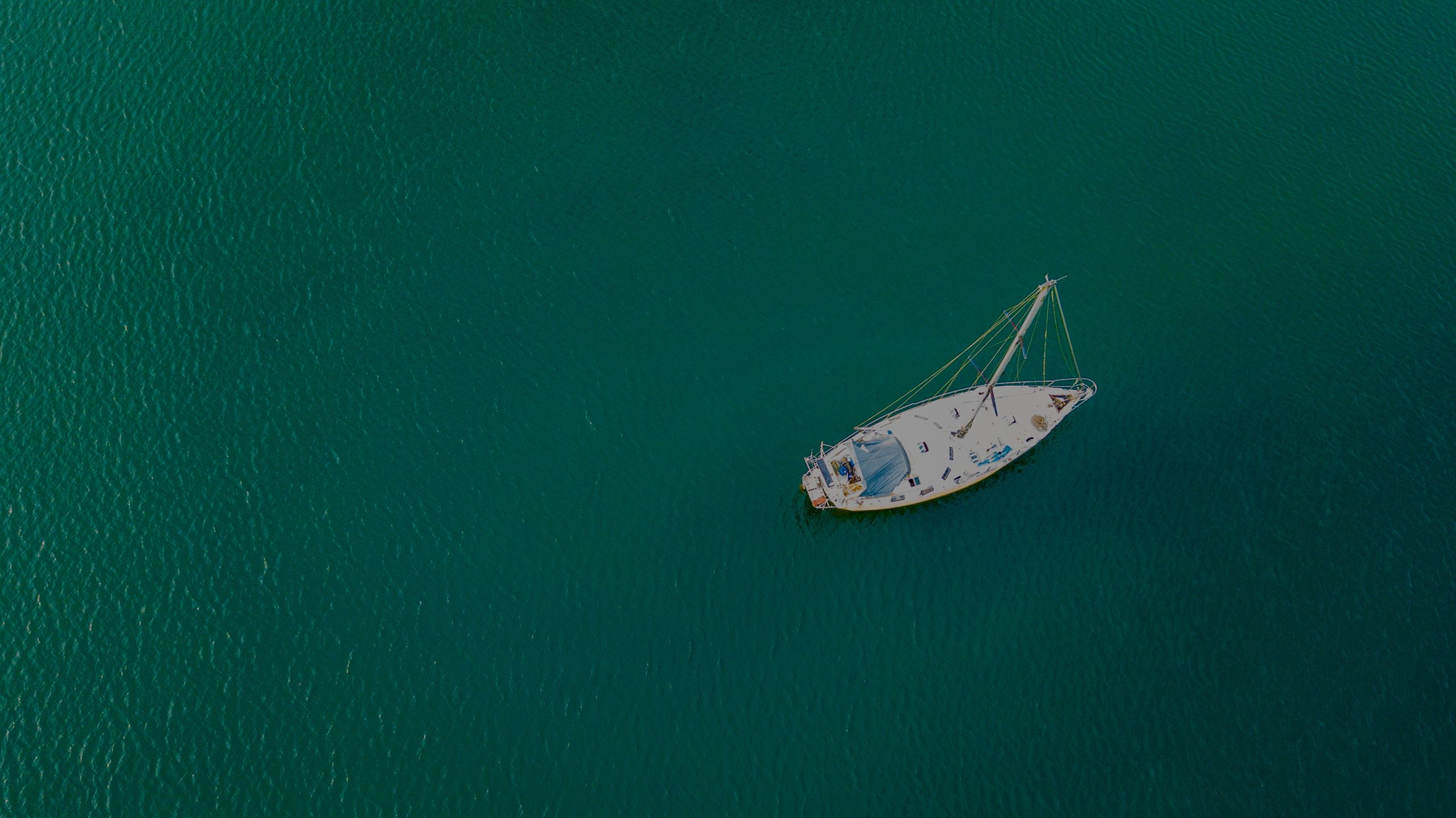 Sandbar & Seashells Family Boat Tour at Jupiter’s River Center