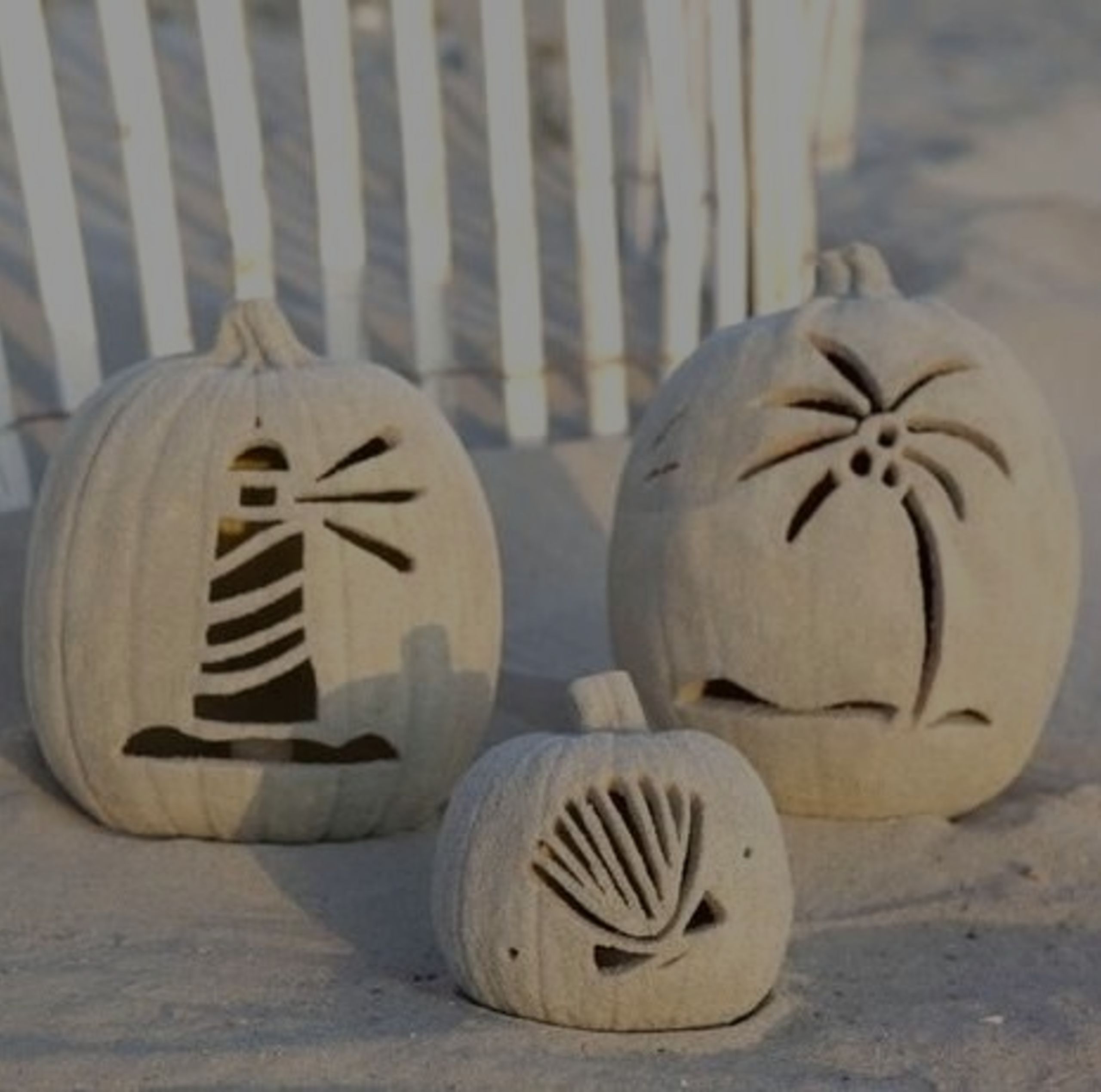 October 2018 – Charleston Newsletter &#038; Real Estate Update