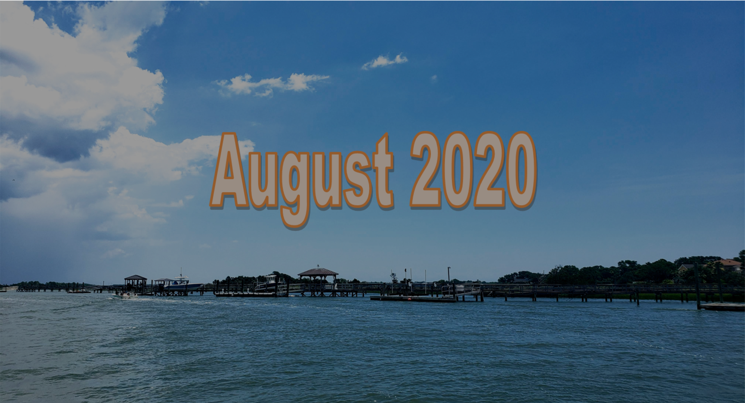 August 2020 Charleston Newsletter and Real Estate Update