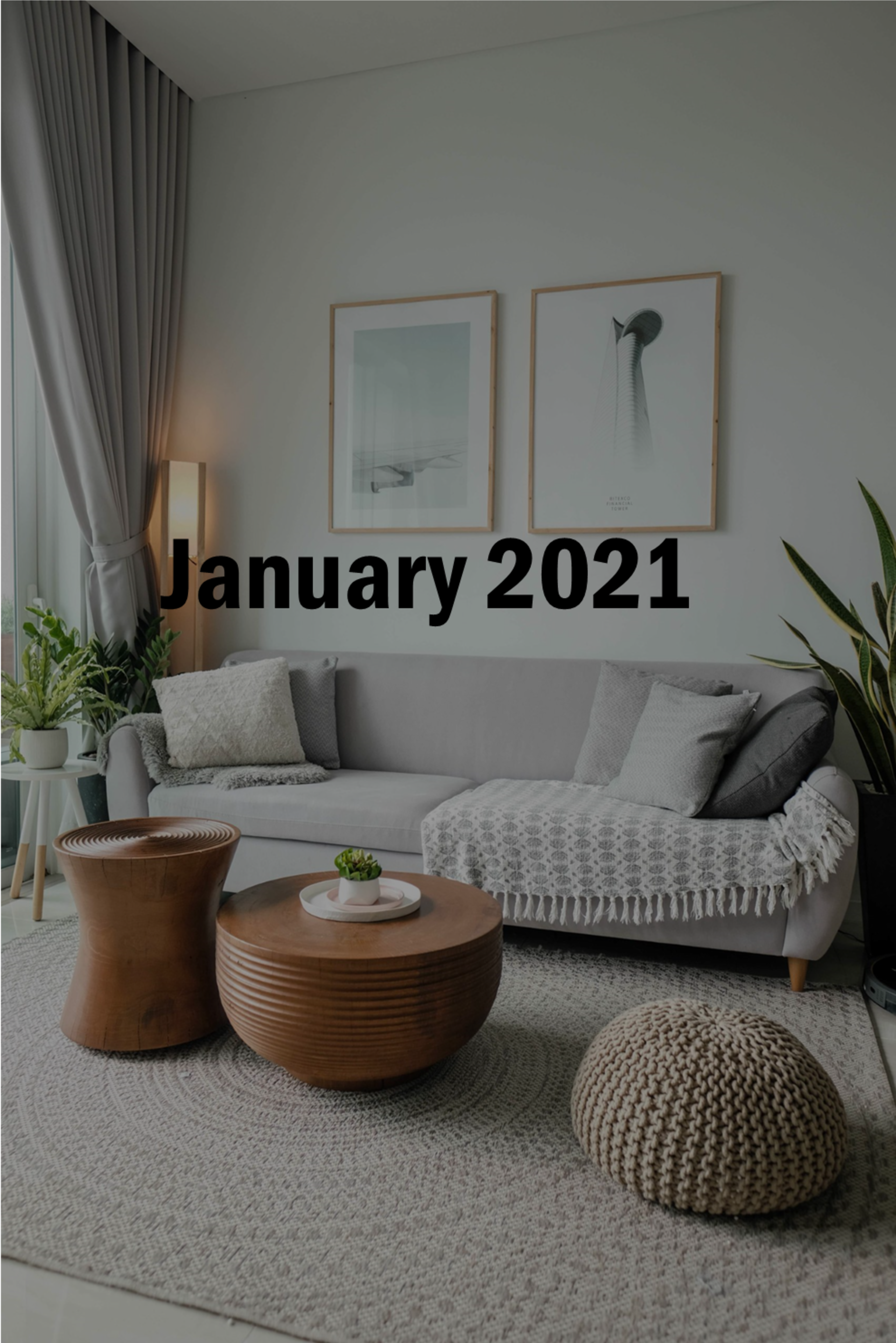 January 2021 Charleston Newsletter and Real Estate Update
