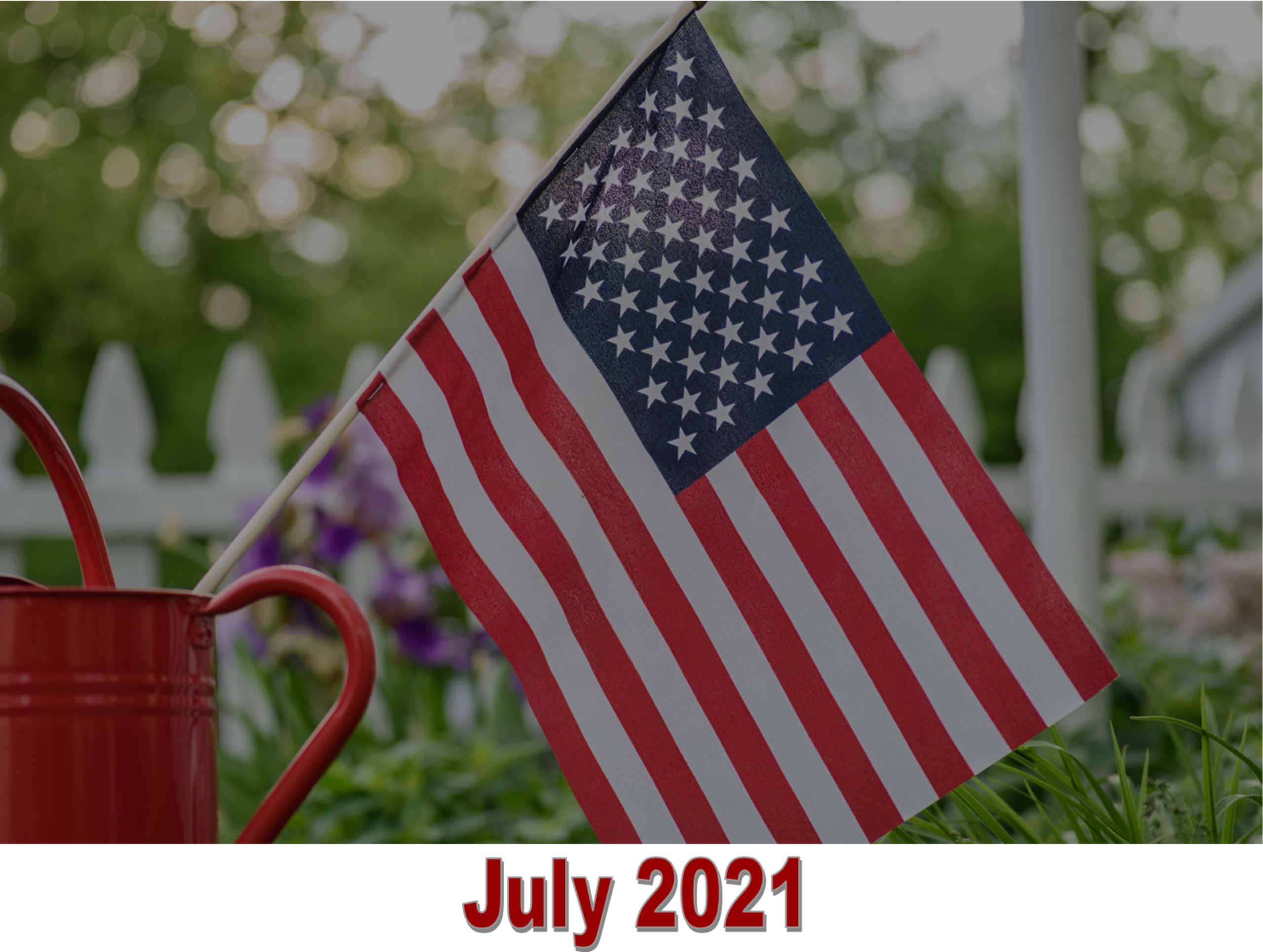 July 2021 Charleston Newsletter and Real Estate Update