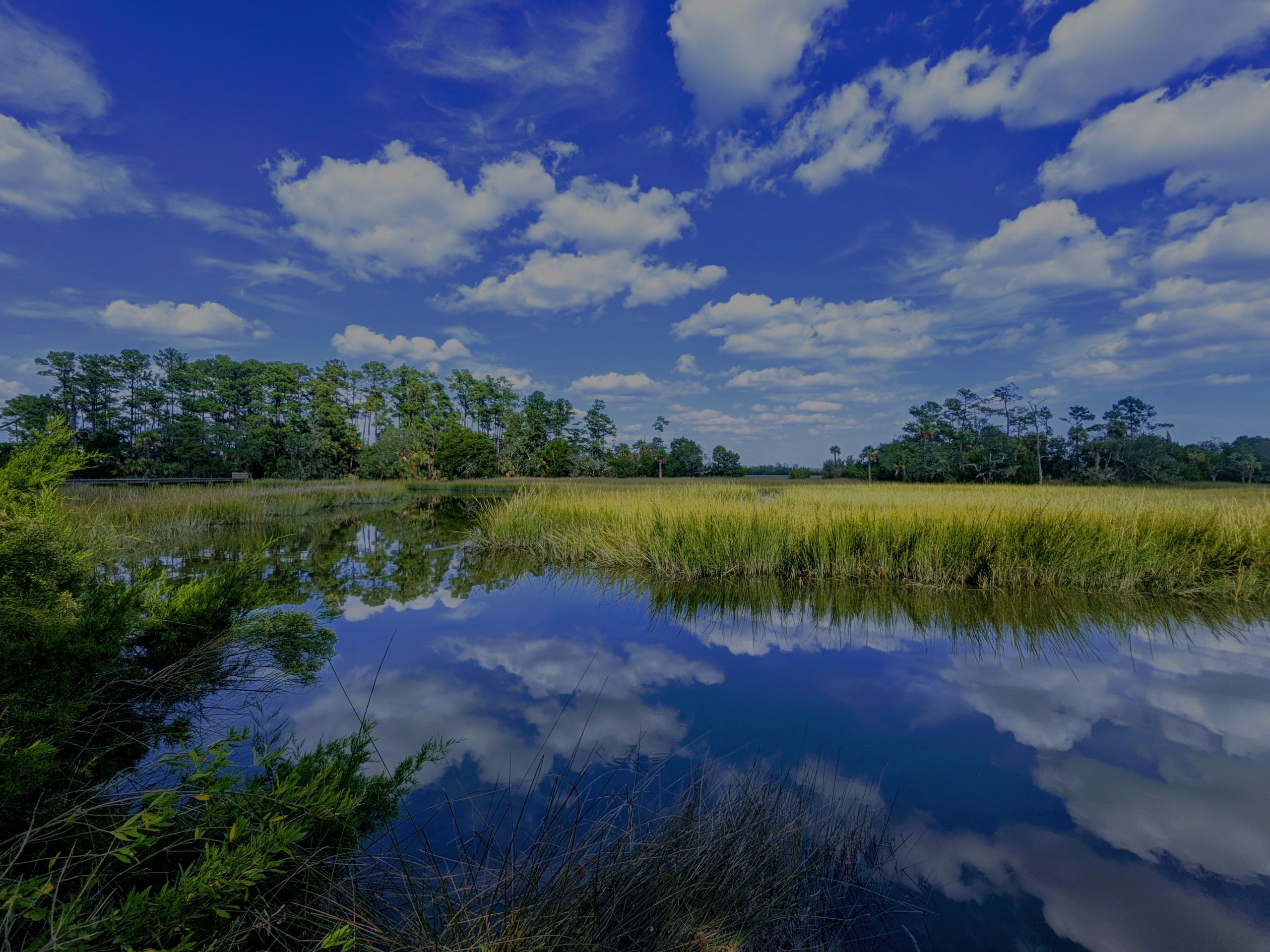 Kory Roscoe Breaks Down the Charleston Housing Market