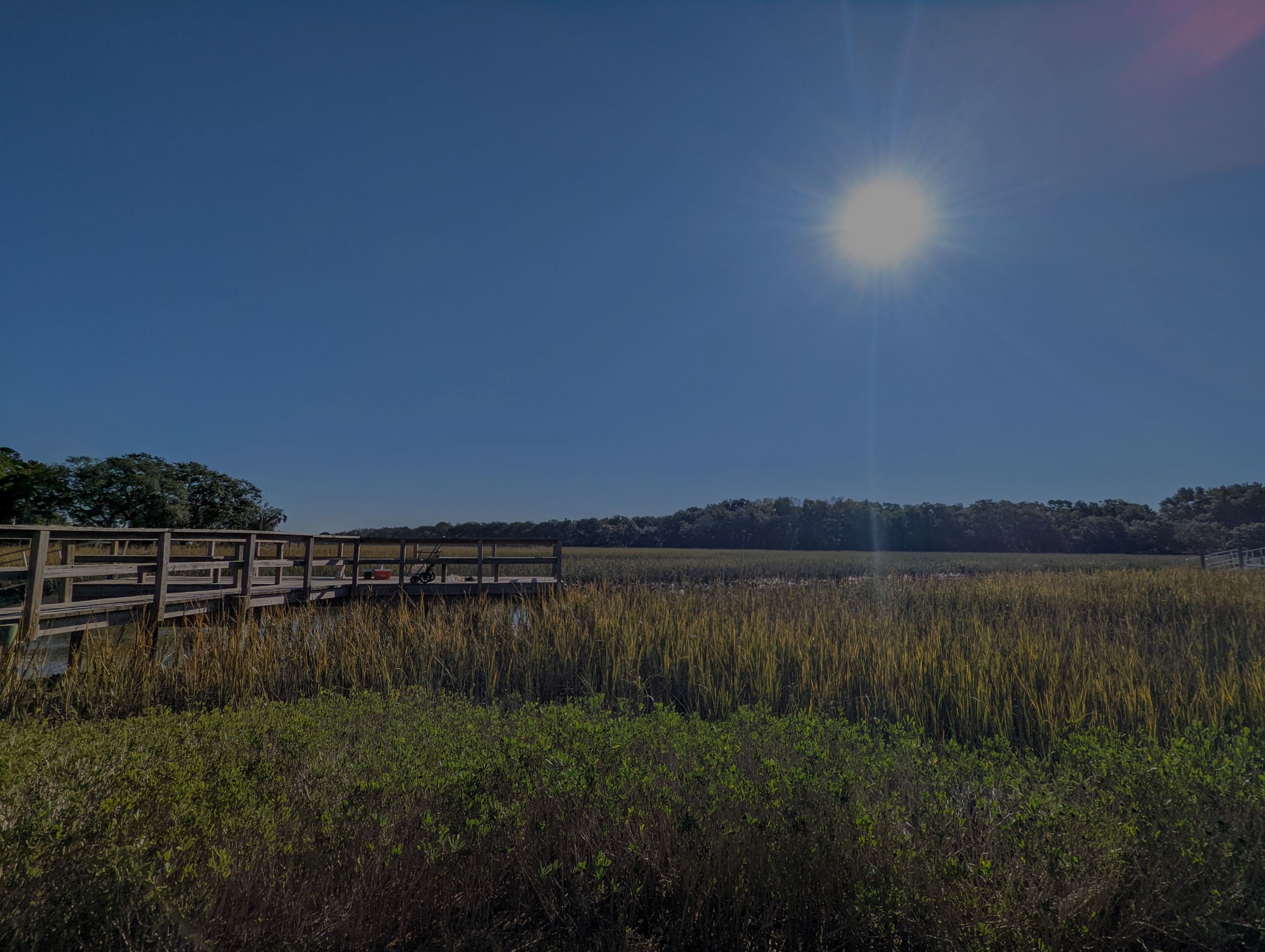 Charleston Housing Market Forecast Future Price Predictions