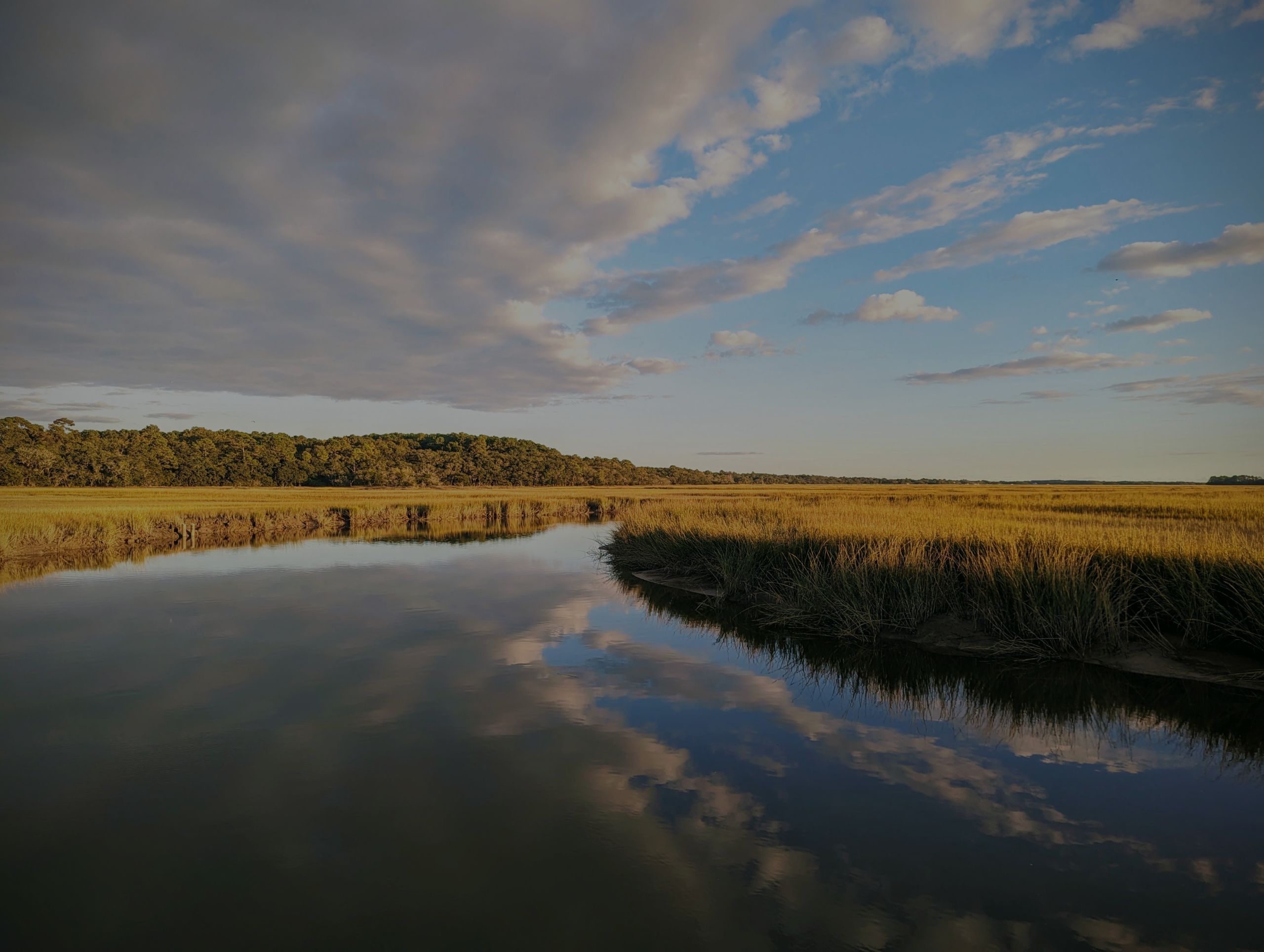 November 2023 Charleston Newsletter and Real Estate Update