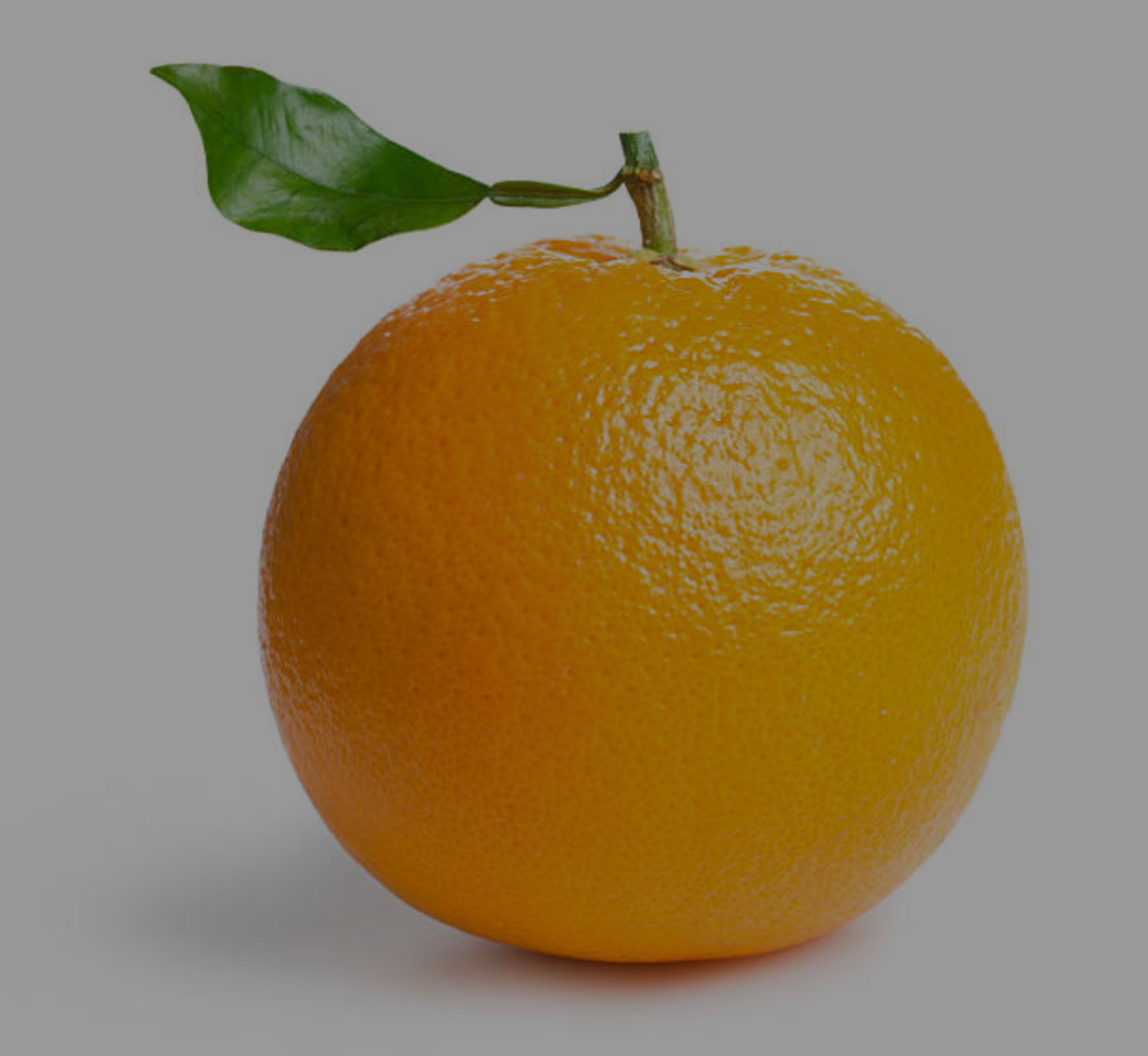 florida%20orange.jpg