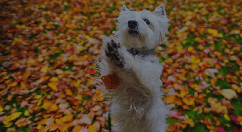 The #1 Reason to Not Wait Until Spring to Sell Your House