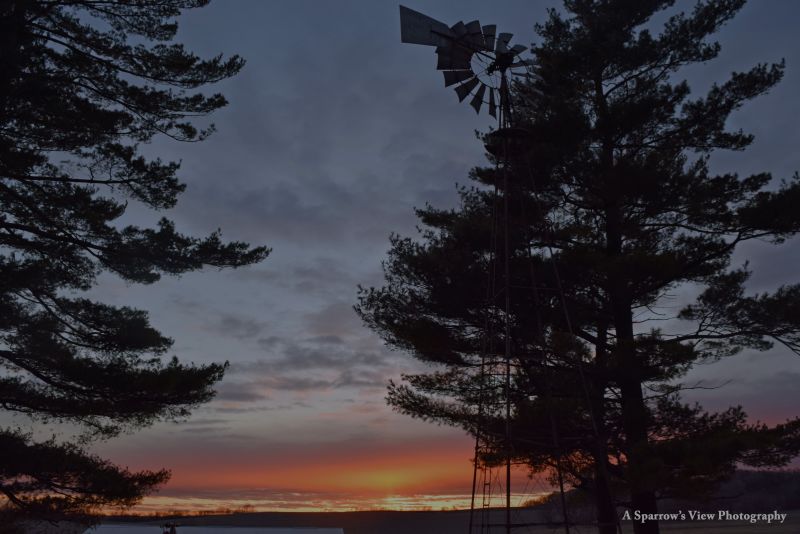 Driftless Discoveries, Spring