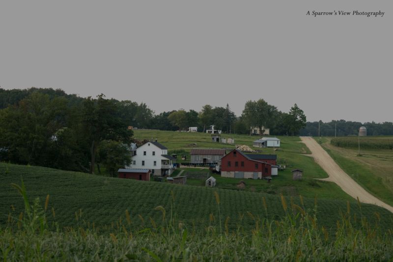 Amish Communities