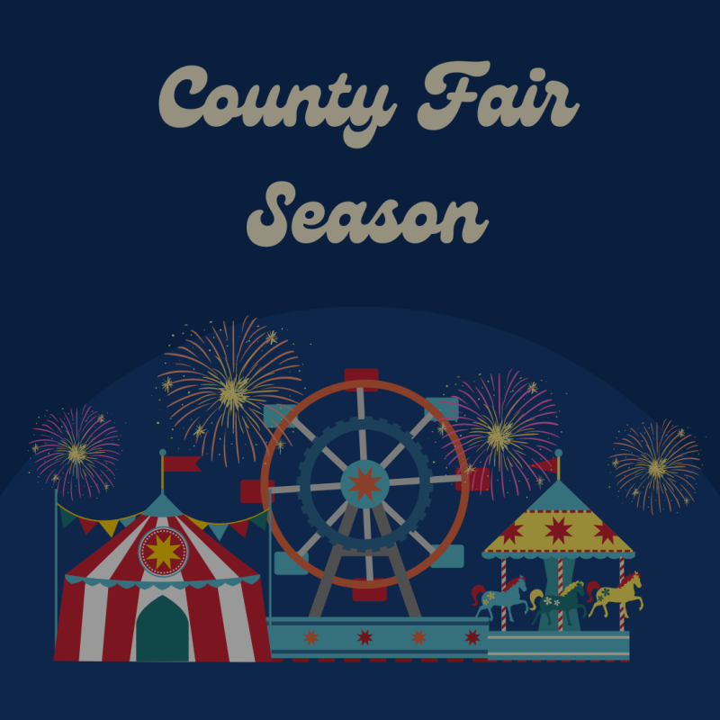 County Fairs 2024