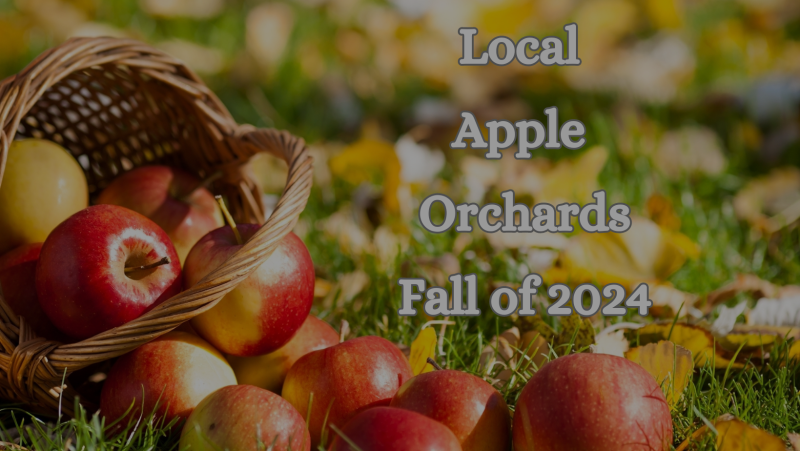Apple Orchards 2024