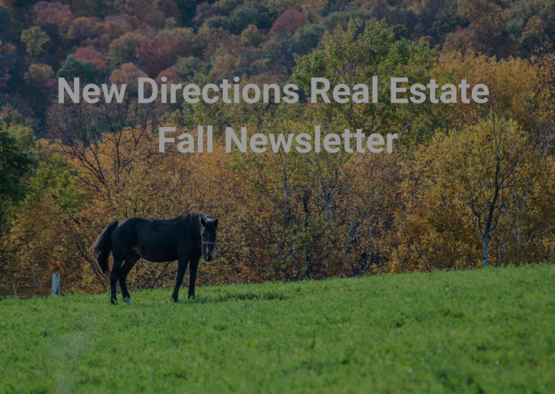 Fall Newsletter 2024