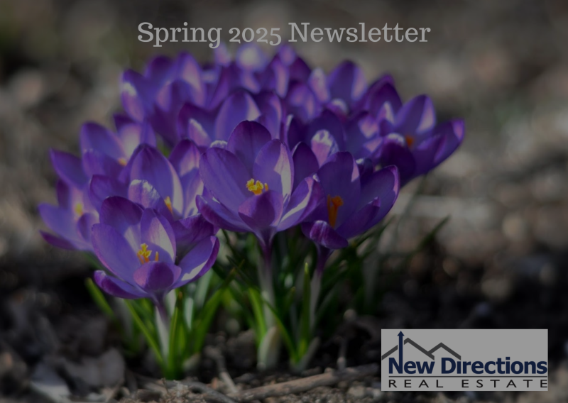 Spring Newsletter 2025